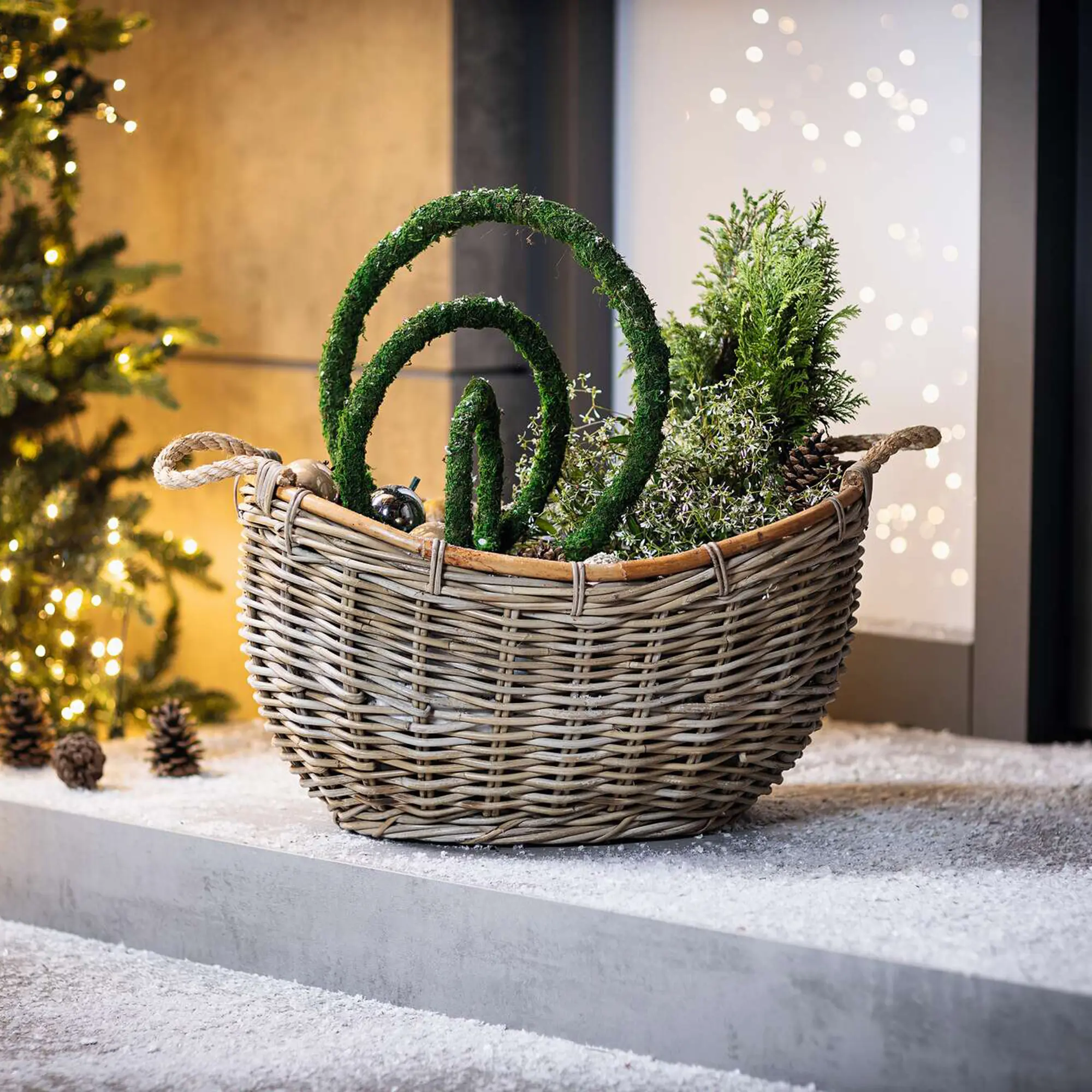 Dekoring "Moos", 3er Set  im Frank Flechtwaren Online Shop kaufen