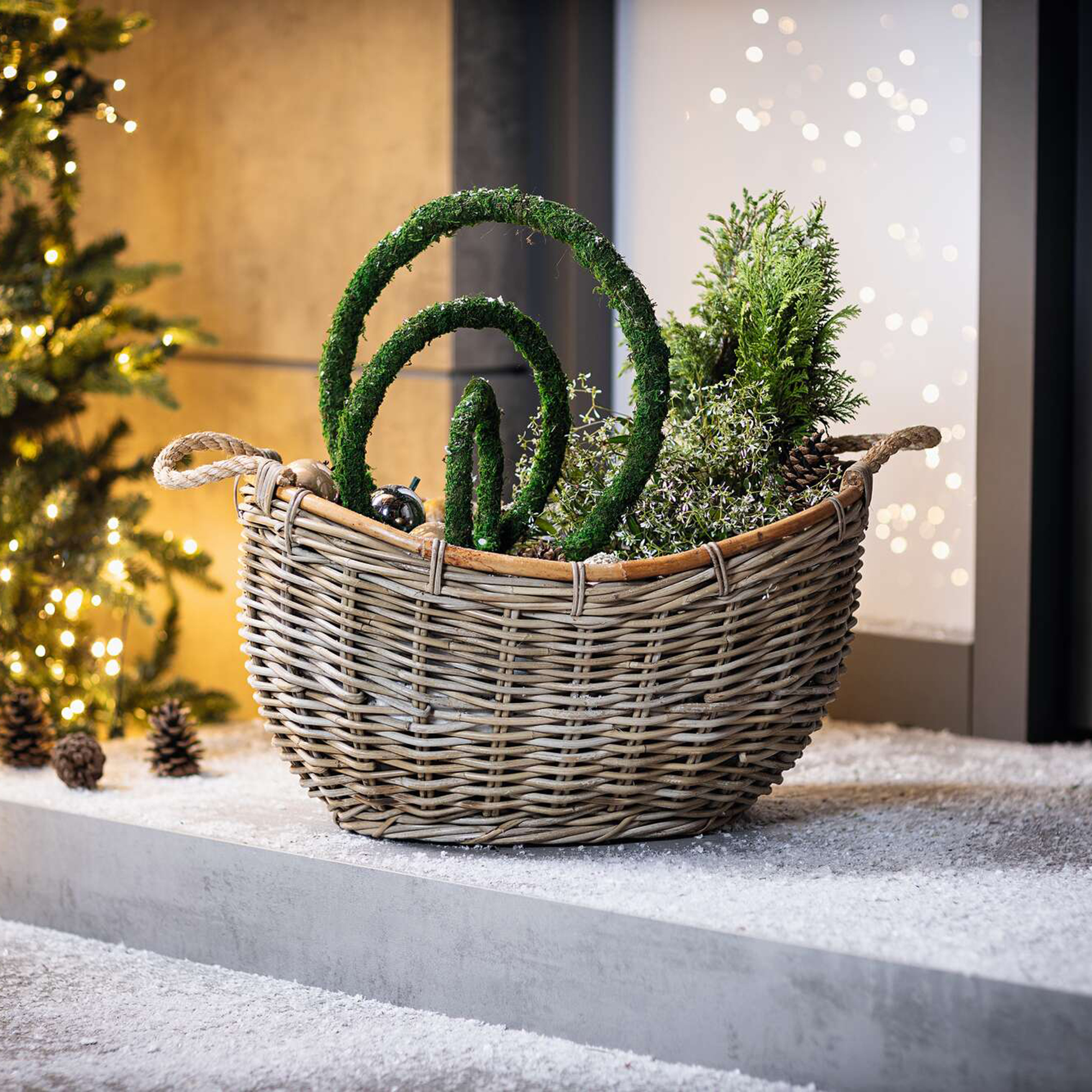 Dekoring "Moos", 3er Set  im Frank Flechtwaren Online Shop kaufen