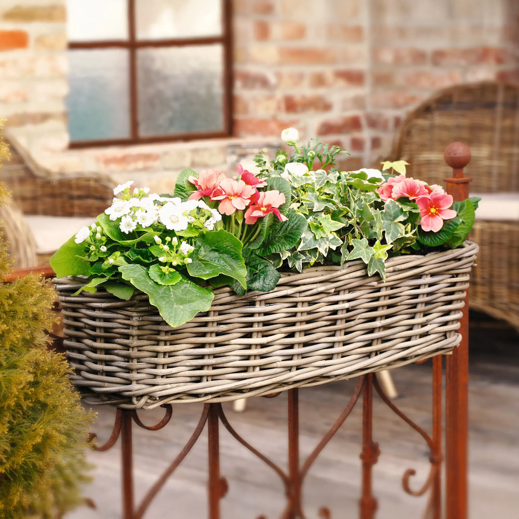 Balkonpflanzer "Rattan", groß  im Frank Flechtwaren Online Shop kaufen