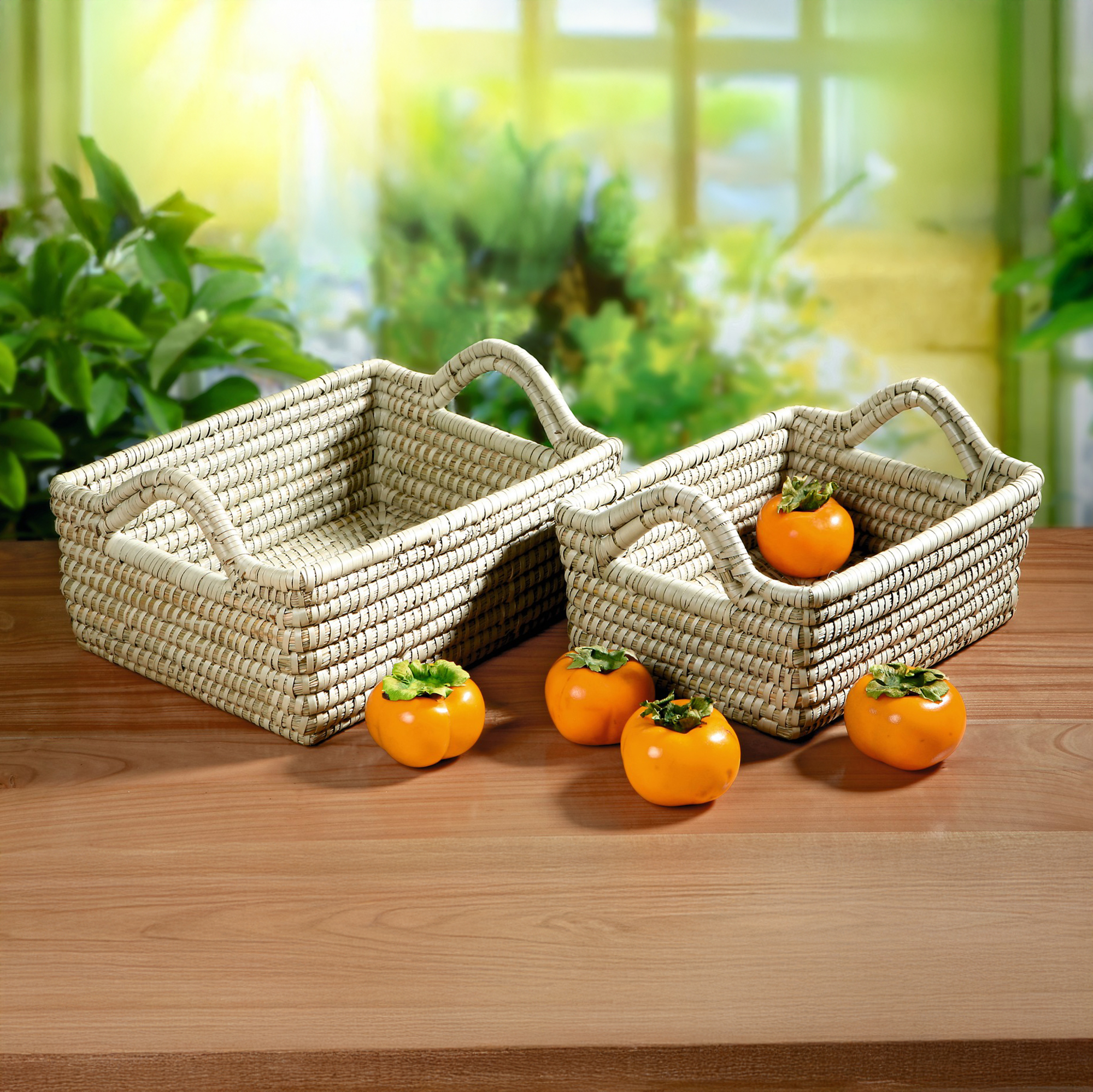 Füllkorb "Seegras", 2er Set  im Frank Flechtwaren Online Shop kaufen