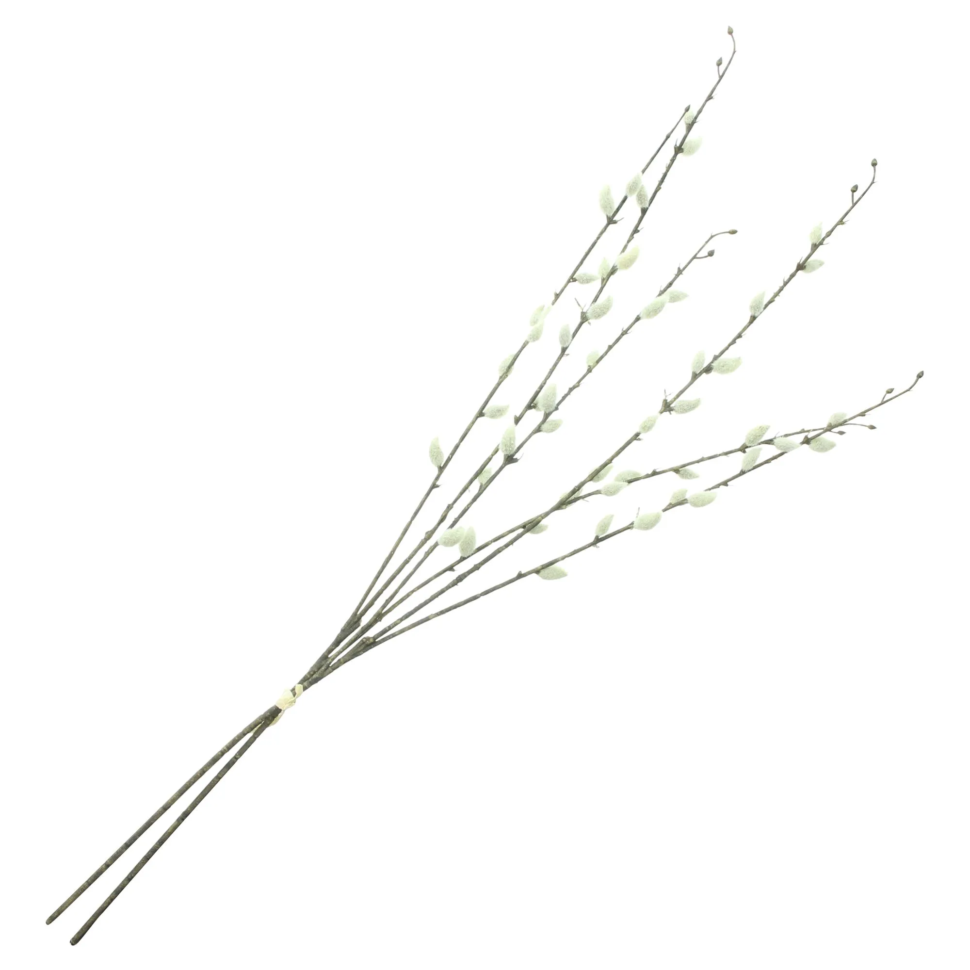 Dekozweig "Weidenkätzchen", 2er Set  im Frank Flechtwaren Online Shop für Landhaus-Flair kaufen