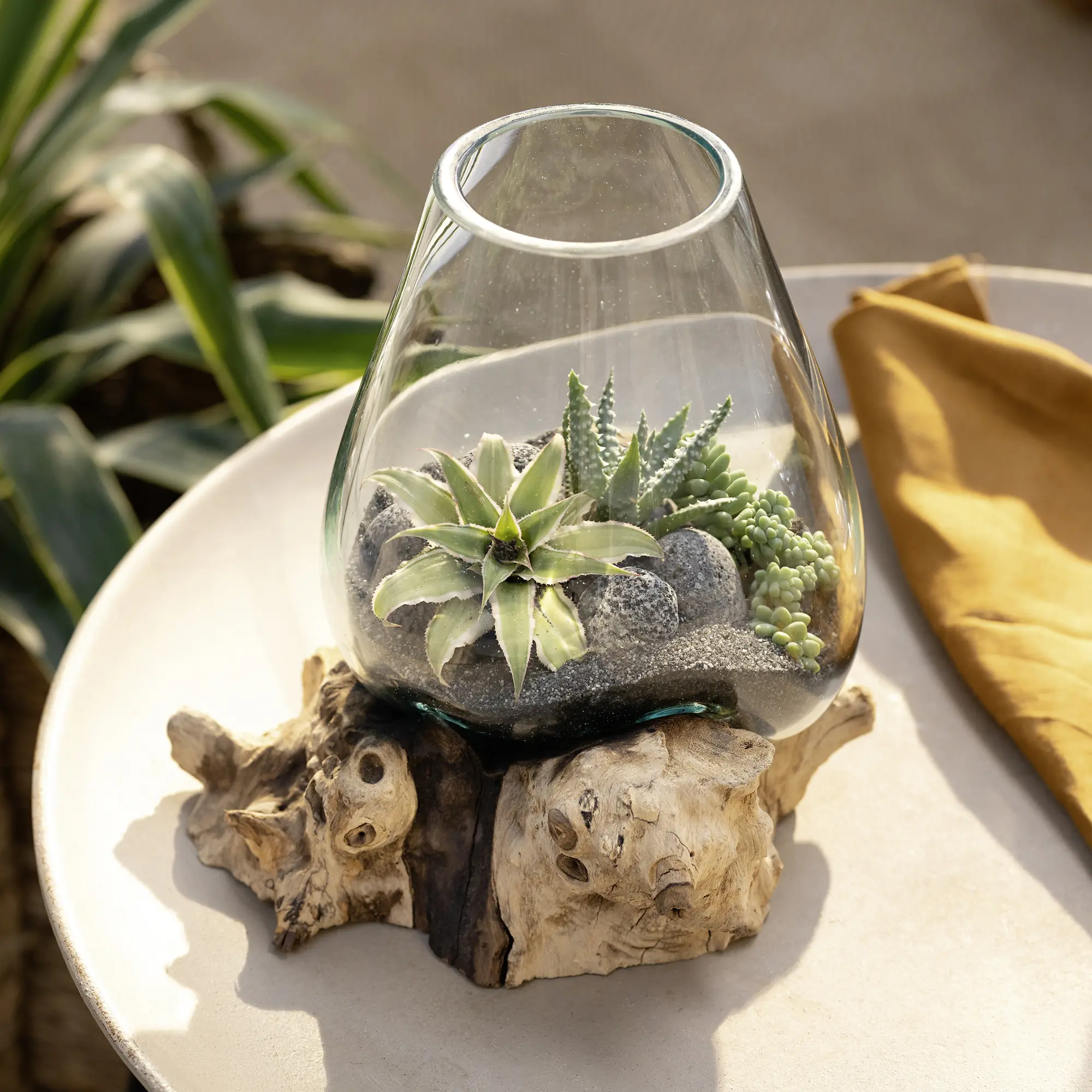 Wurzelholzvase "Aqua"  im Frank Flechtwaren Online Shop kaufen