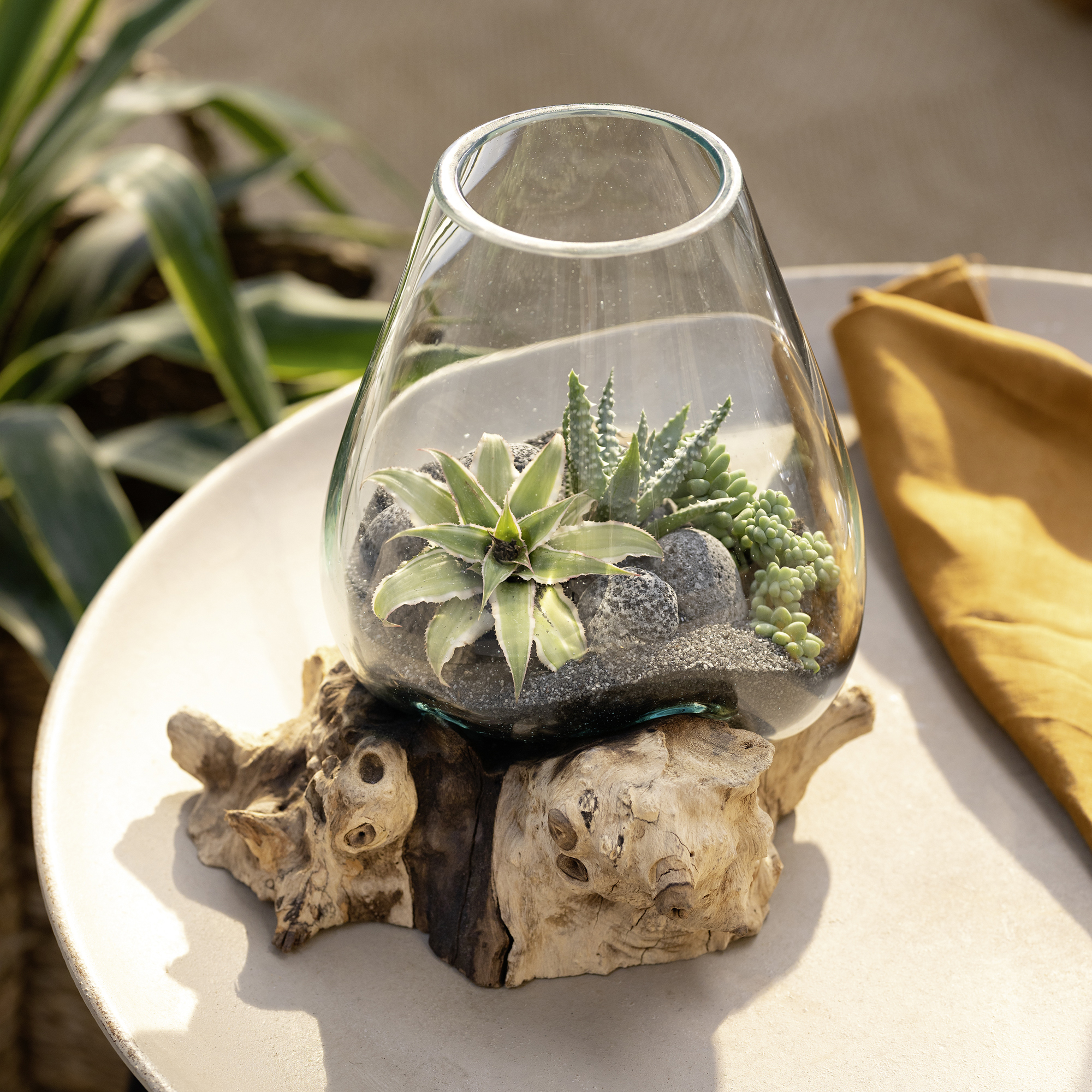 Wurzelholzvase "Aqua"  im Frank Flechtwaren Online Shop kaufen