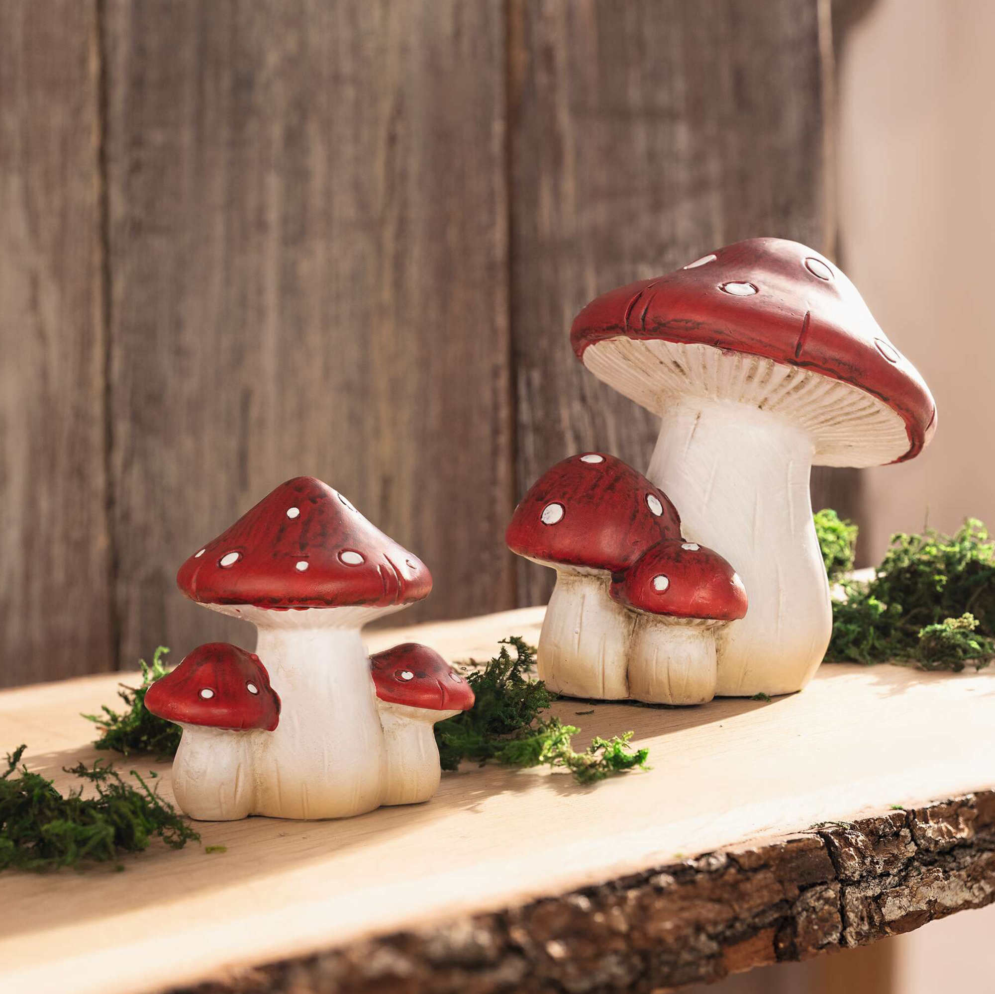 Fliegenpilz "Familie", 2er Set  im Frank Flechtwaren Online Shop für Herbst kaufen