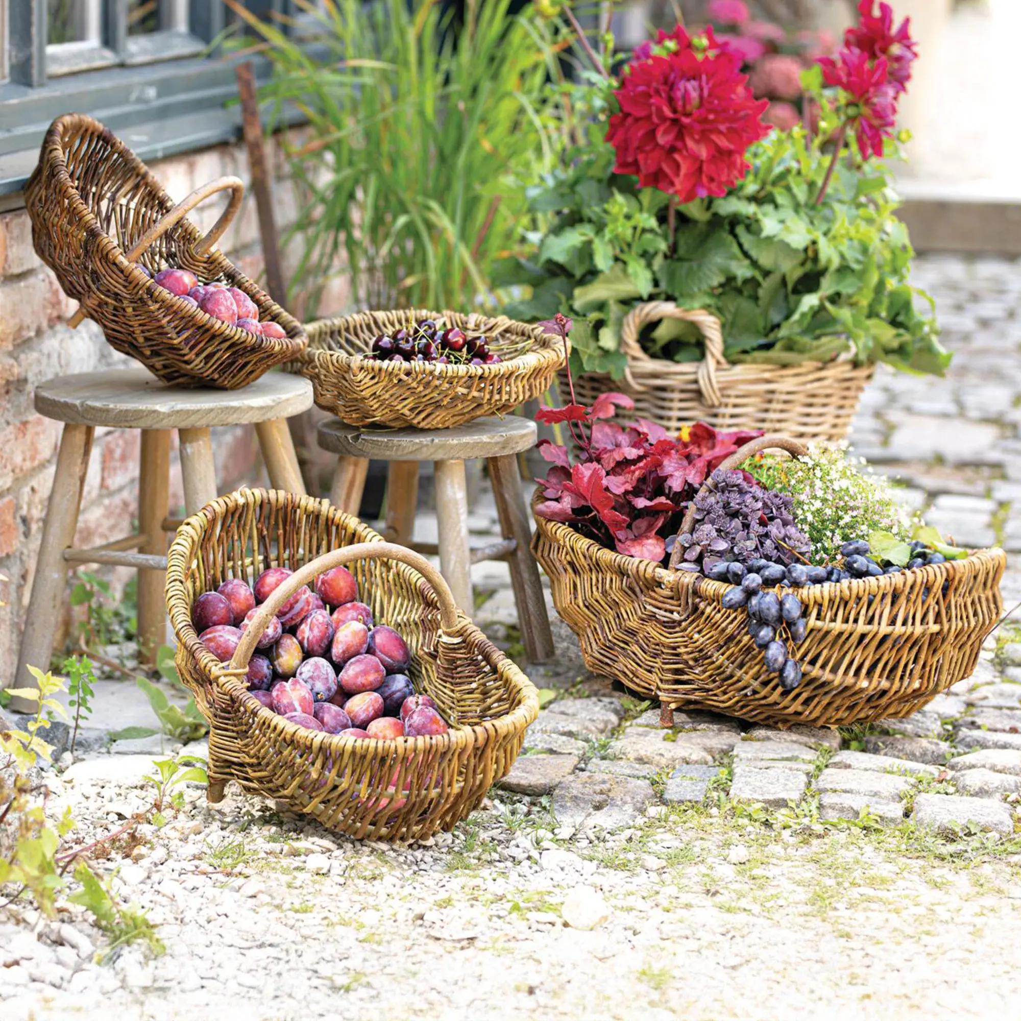 Korb "Holzbügel", mittel  im Frank Flechtwaren Online Shop kaufen