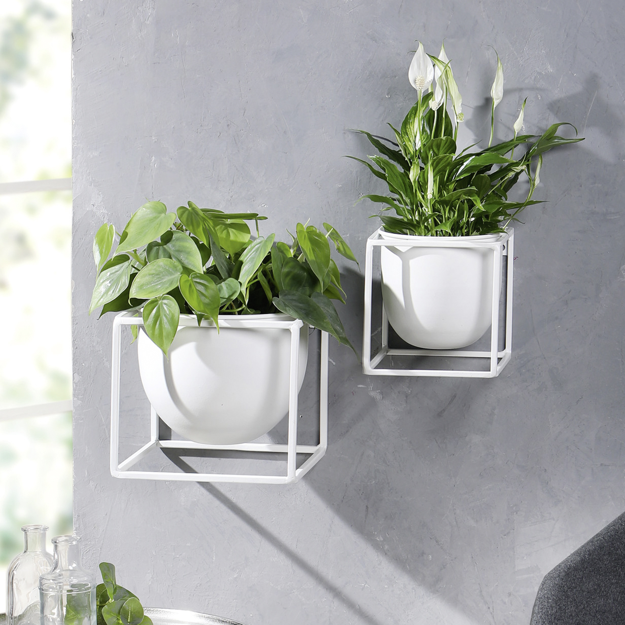 Wandpflanzer "White", klein  im Frank Flechtwaren Online Shop kaufen