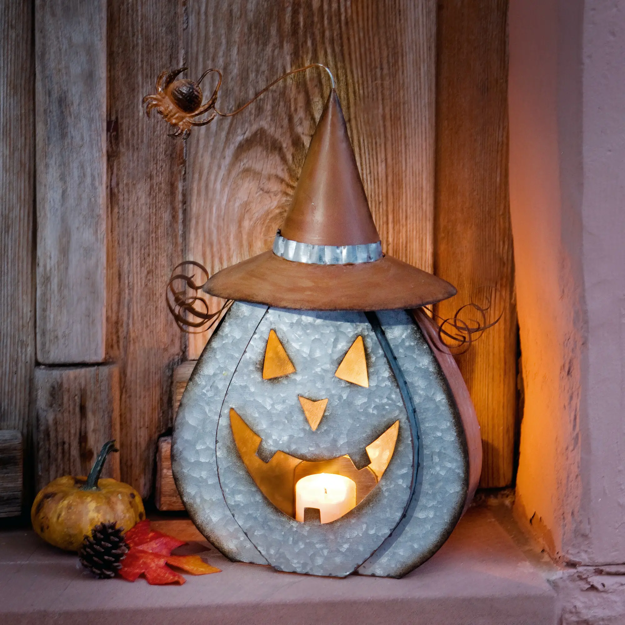 Kürbis "Halloween"  im Frank Flechtwaren Online Shop kaufen