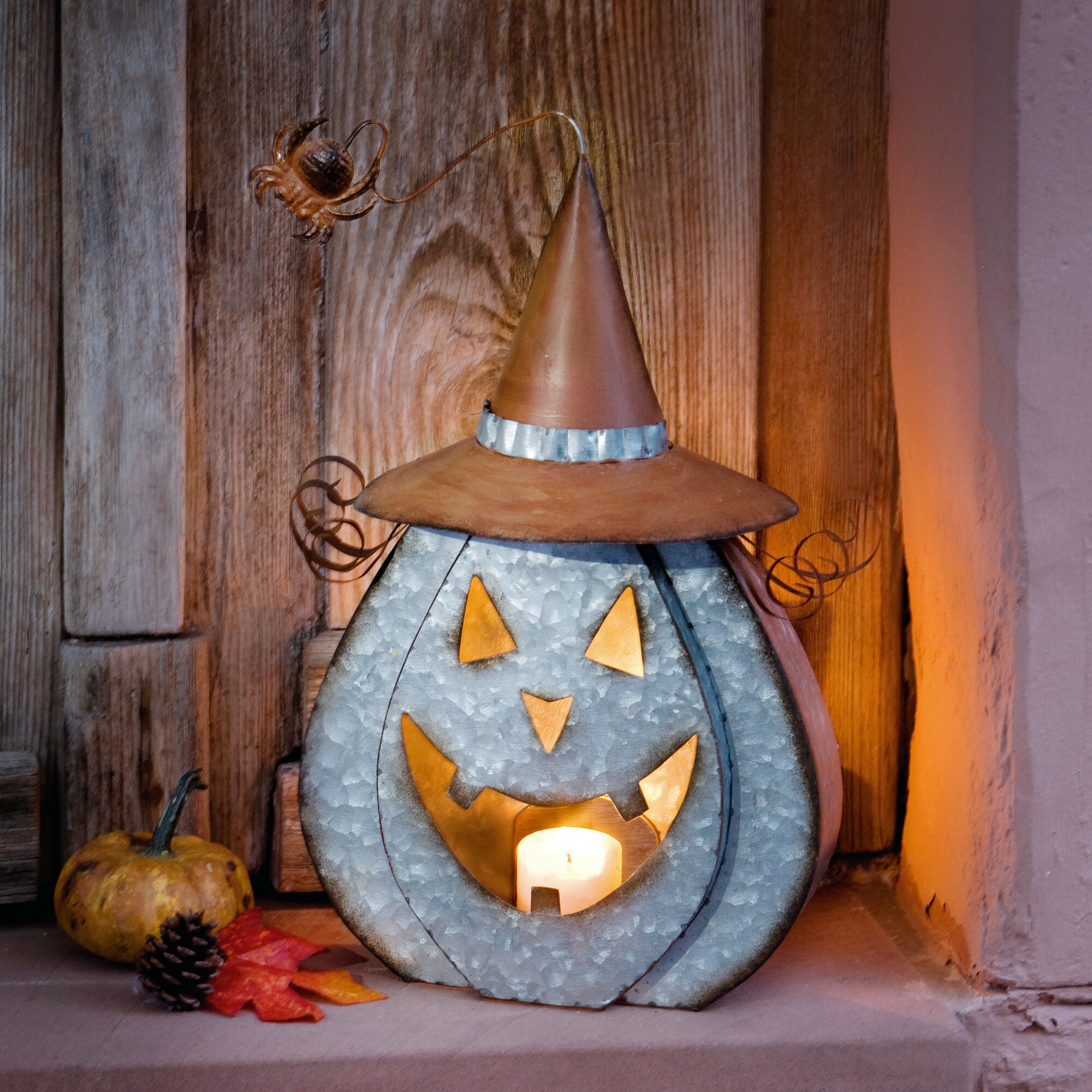 Kürbis "Halloween"  im Frank Flechtwaren Online Shop kaufen