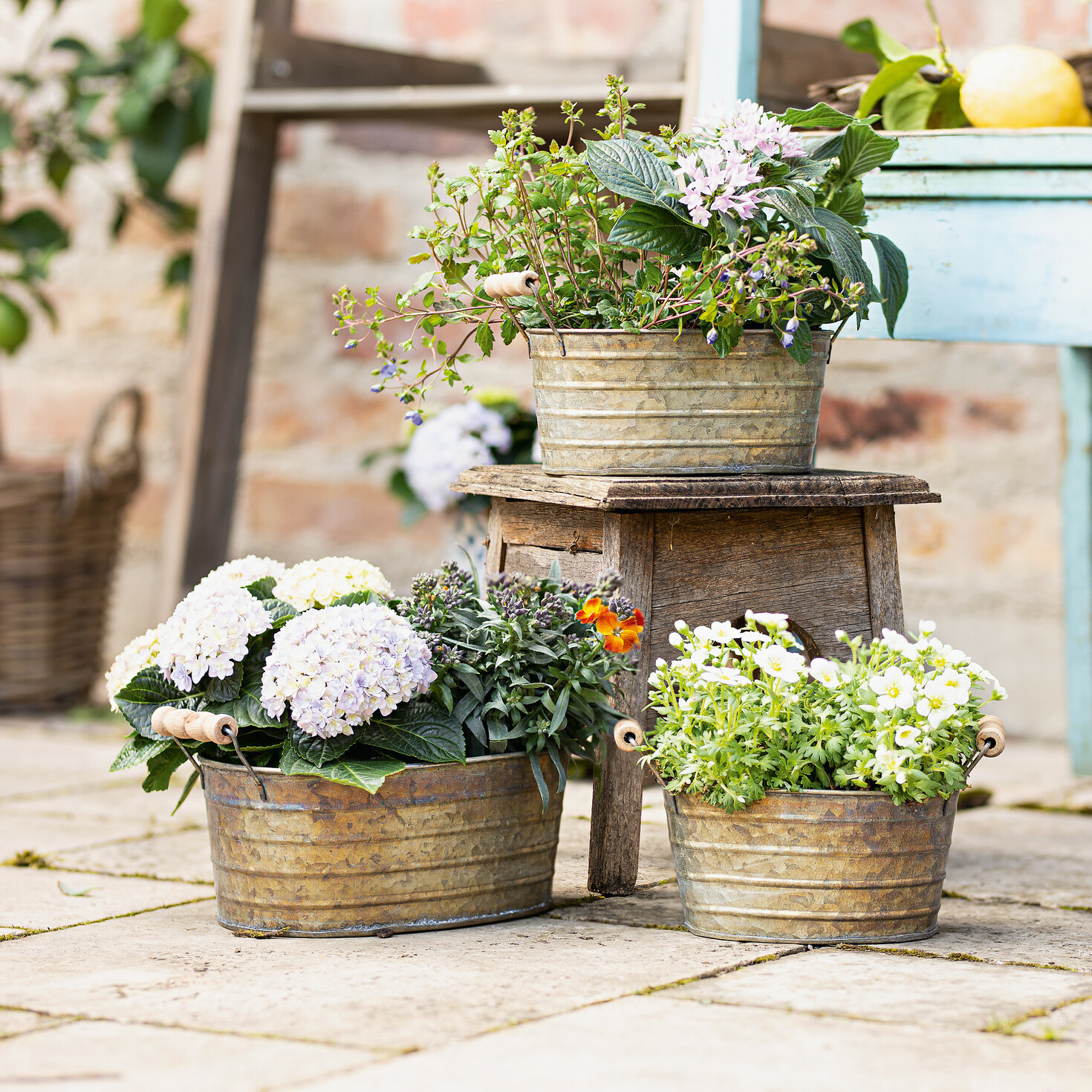Metallwanne mit Holzgriffen, 3er Set  im Frank Flechtwaren Online Shop kaufen