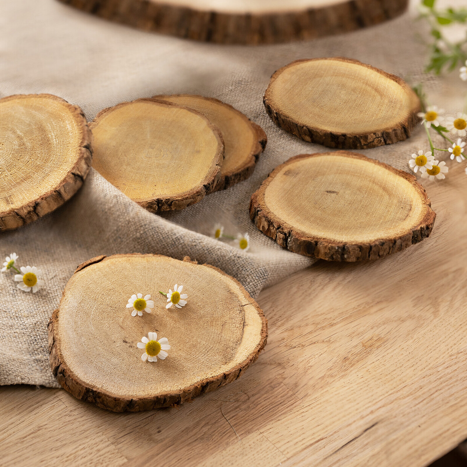 Holzunterlage "Eiche", 6er Set  im Frank Flechtwaren Online Shop kaufen