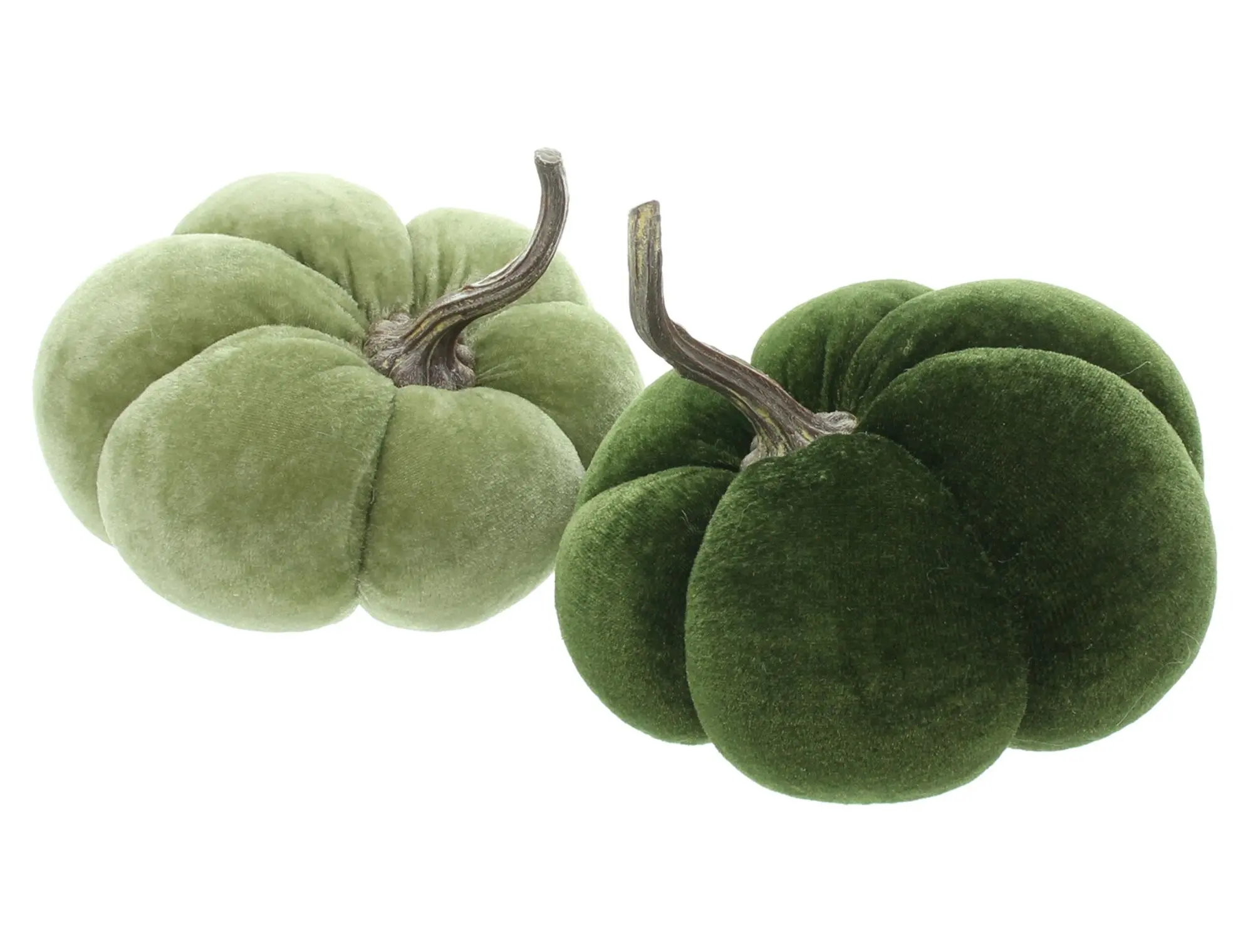 Kürbis "Green", 2er Set  im Frank Flechtwaren Online Shop für Dekokürbisse kaufen