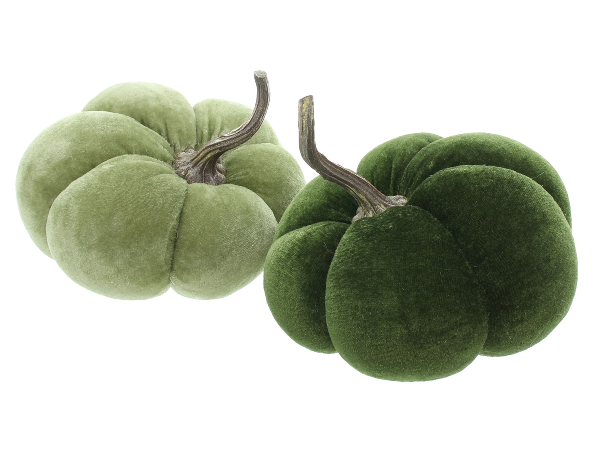 Kürbis "Green", 2er Set  im Frank Flechtwaren Online Shop für Dekokürbisse kaufen