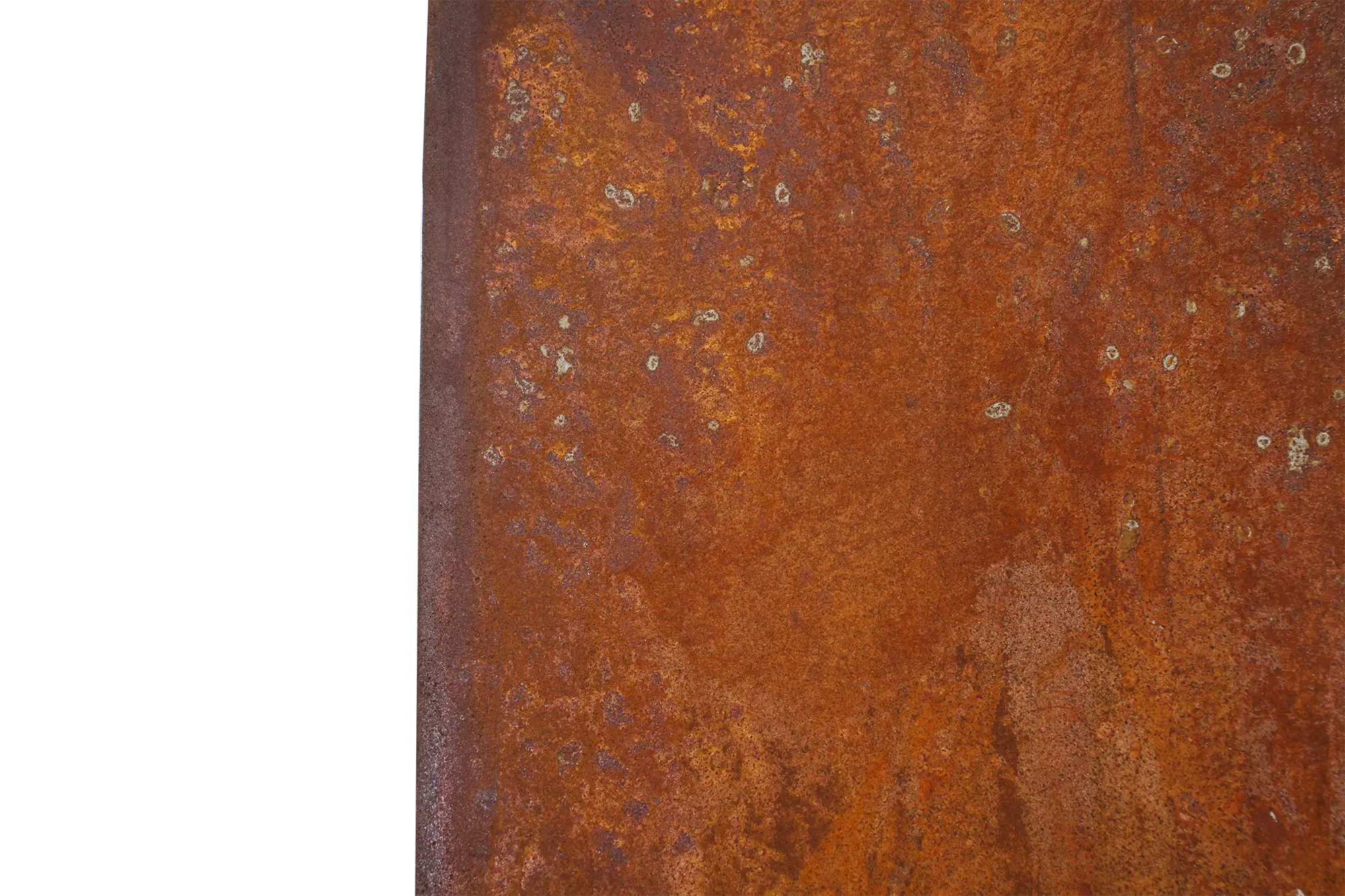 Schild "Kreativ" im Frank Flechtwaren Online Shop für Gartenstecker kaufen Schild "Kreativ" im Frank Flechtwaren Online Shop für Gartenstecker kaufen