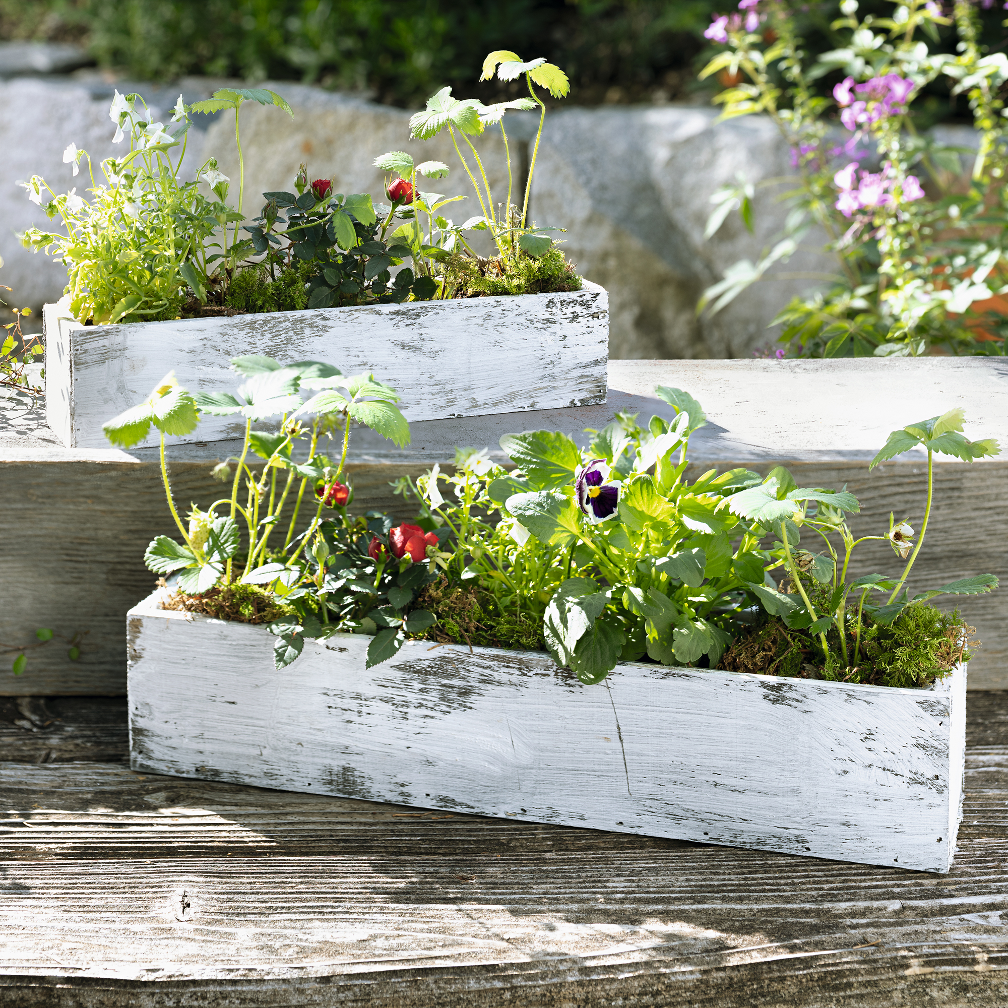 Pflanzer "Shabby-White", 2er Set  im Frank Flechtwaren Online Shop kaufen