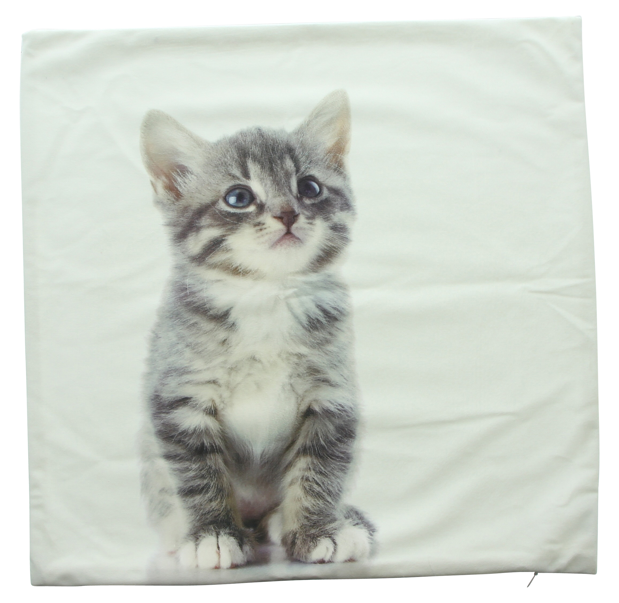 Kissenhülle "Kitty" im Frank Flechtwaren Online Shop für Kissenhüllen kaufen Kissenhülle "Kitty" im Frank Flechtwaren Online Shop für Kissenhüllen kaufen