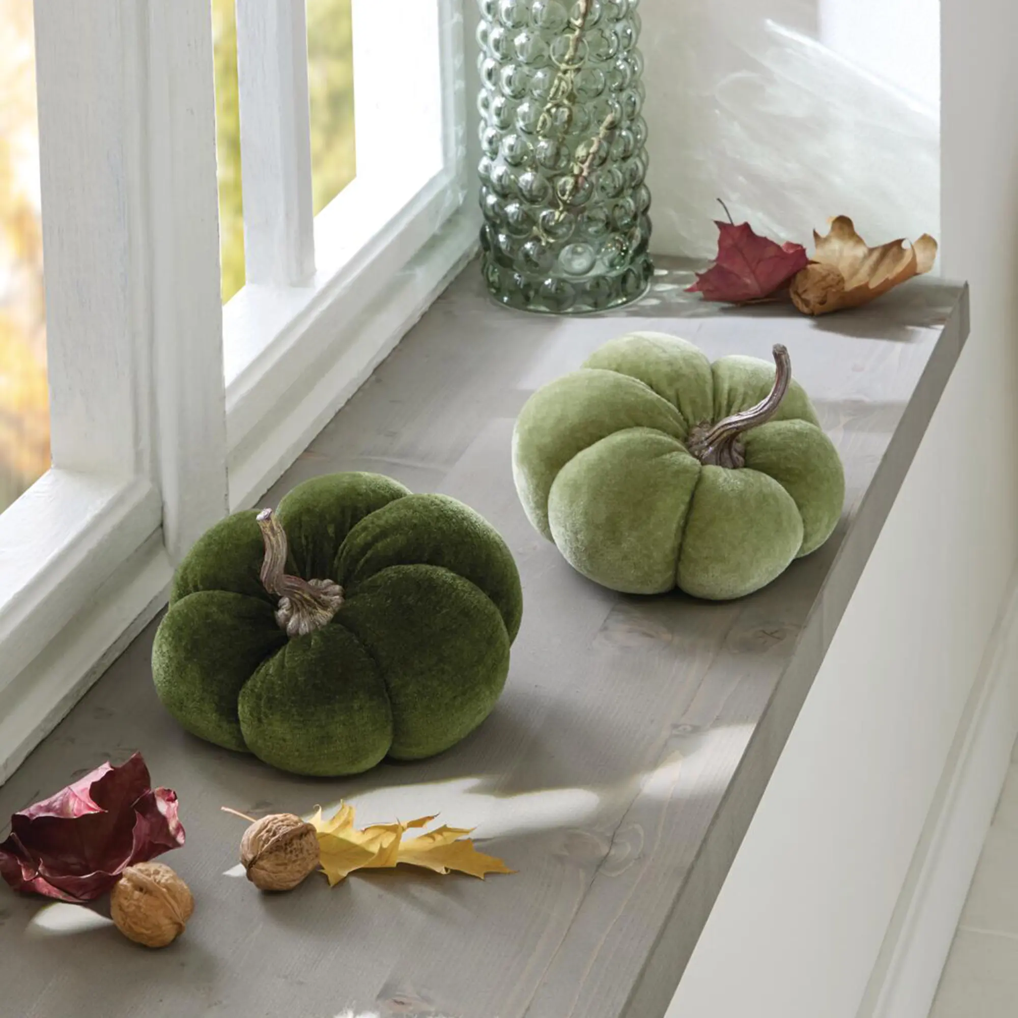 Kürbis "Green", 2er Set  im Frank Flechtwaren Online Shop kaufen