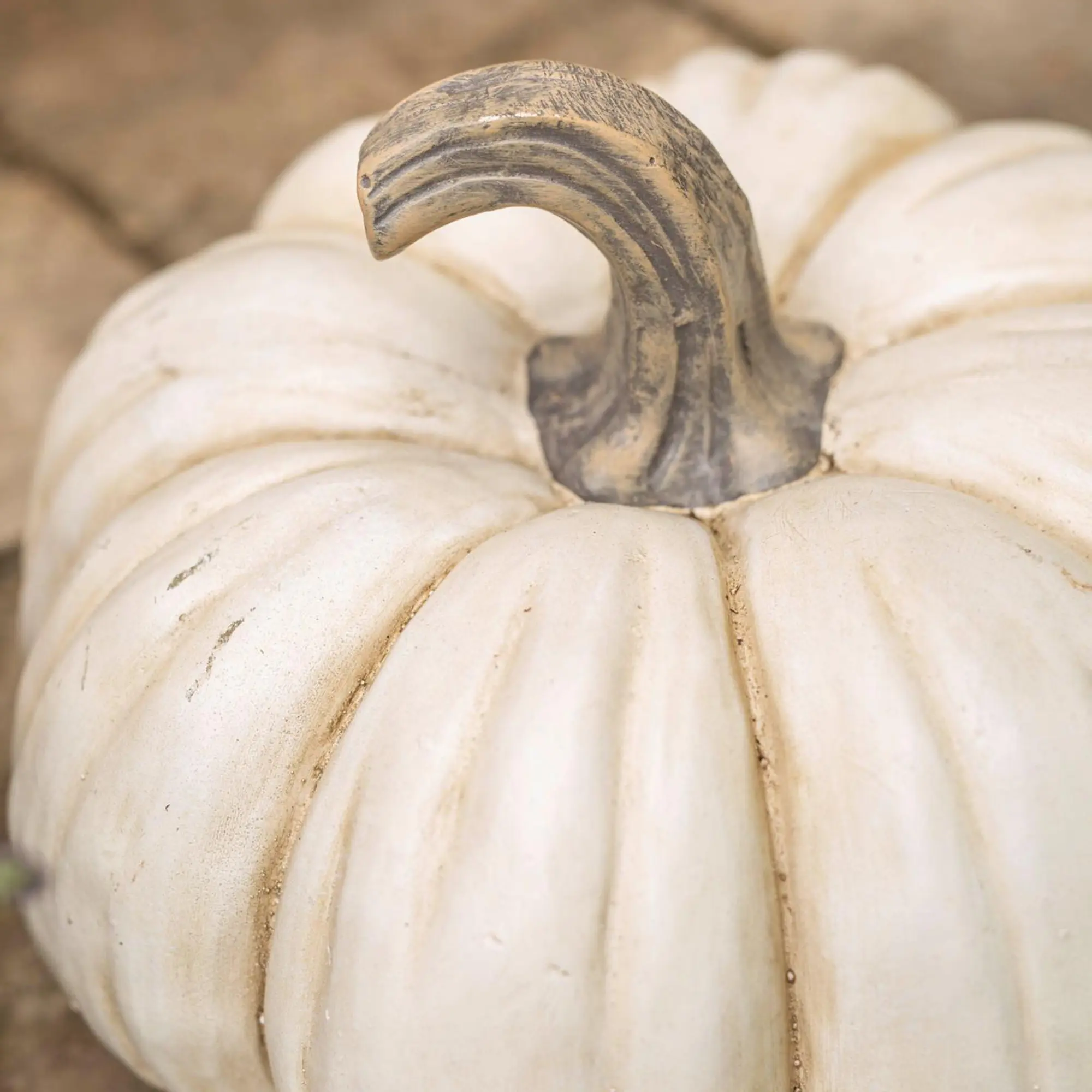 Deko-Kürbis "White Pumpkin"  im Frank Flechtwaren Online Shop für Dekokürbisse kaufen