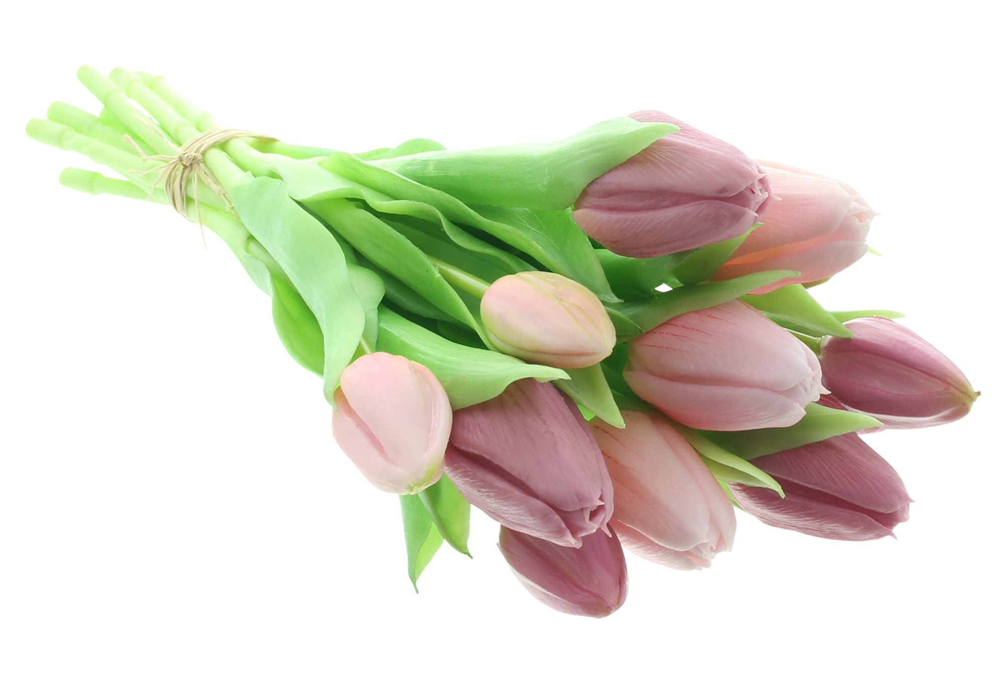 Tulpe "Rosa &amp; Violett", 14er Set  im Frank Flechtwaren Online Shop kaufen