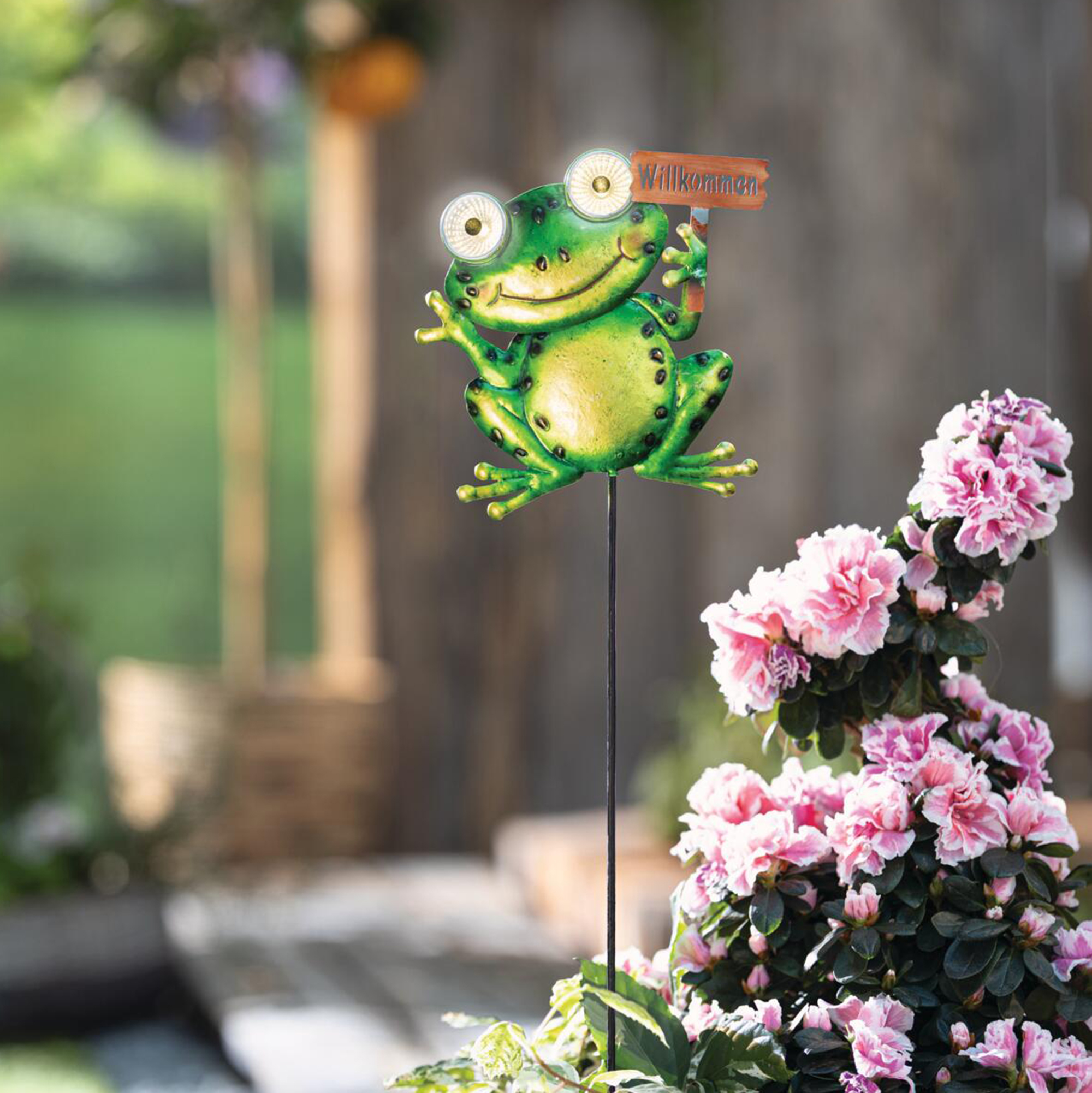 LED-Solarstecker "Crazy Frog"  im Frank Flechtwaren Online Shop kaufen