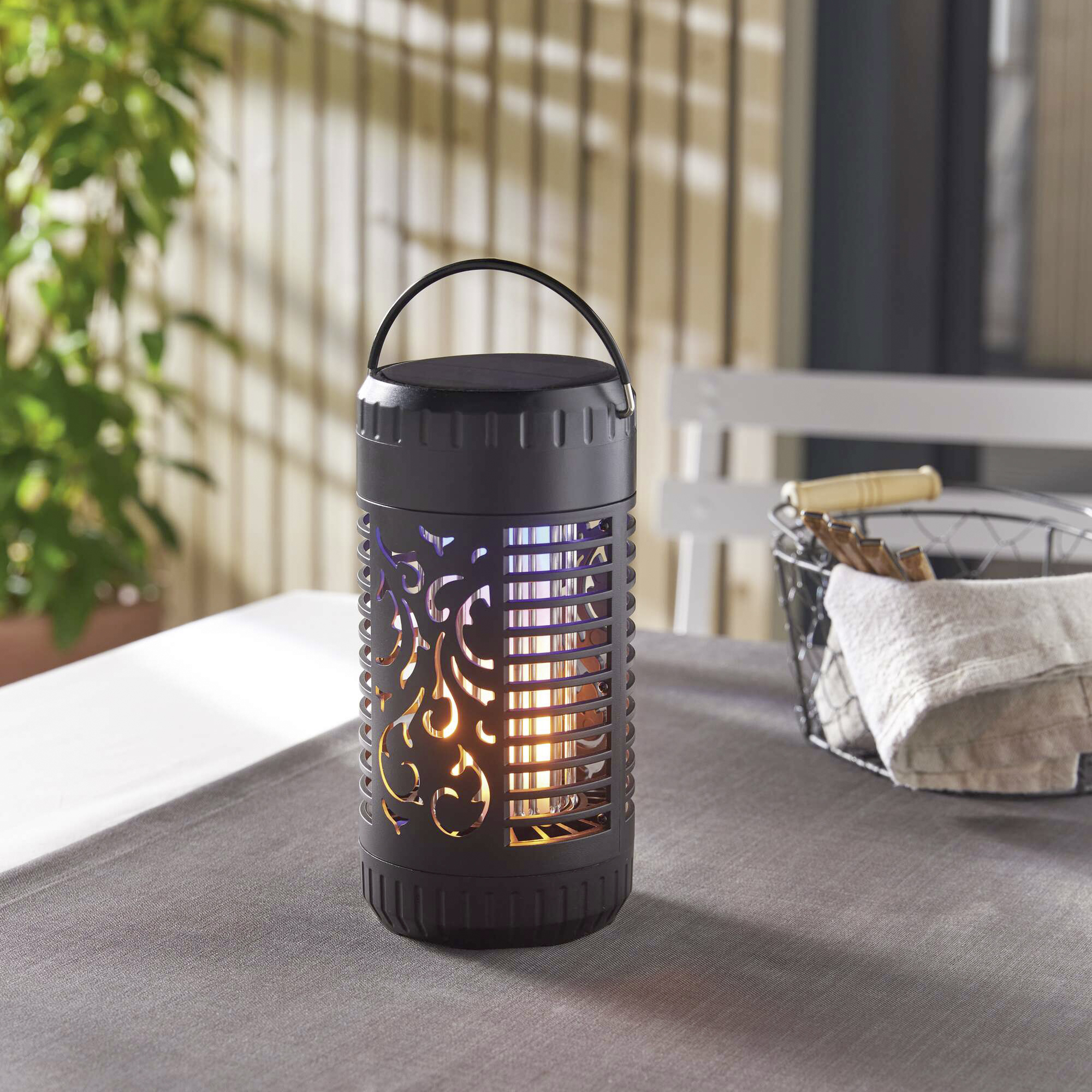 Insektenfalle "Solar"  im Frank Flechtwaren Online Shop kaufen