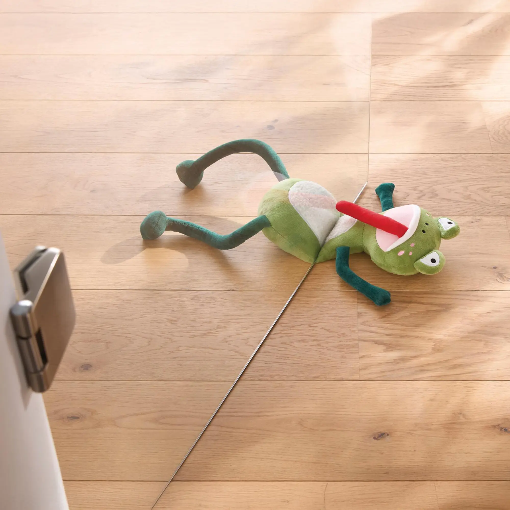 Türstopper "Flat Frog"  im Frank Flechtwaren Online Shop kaufen