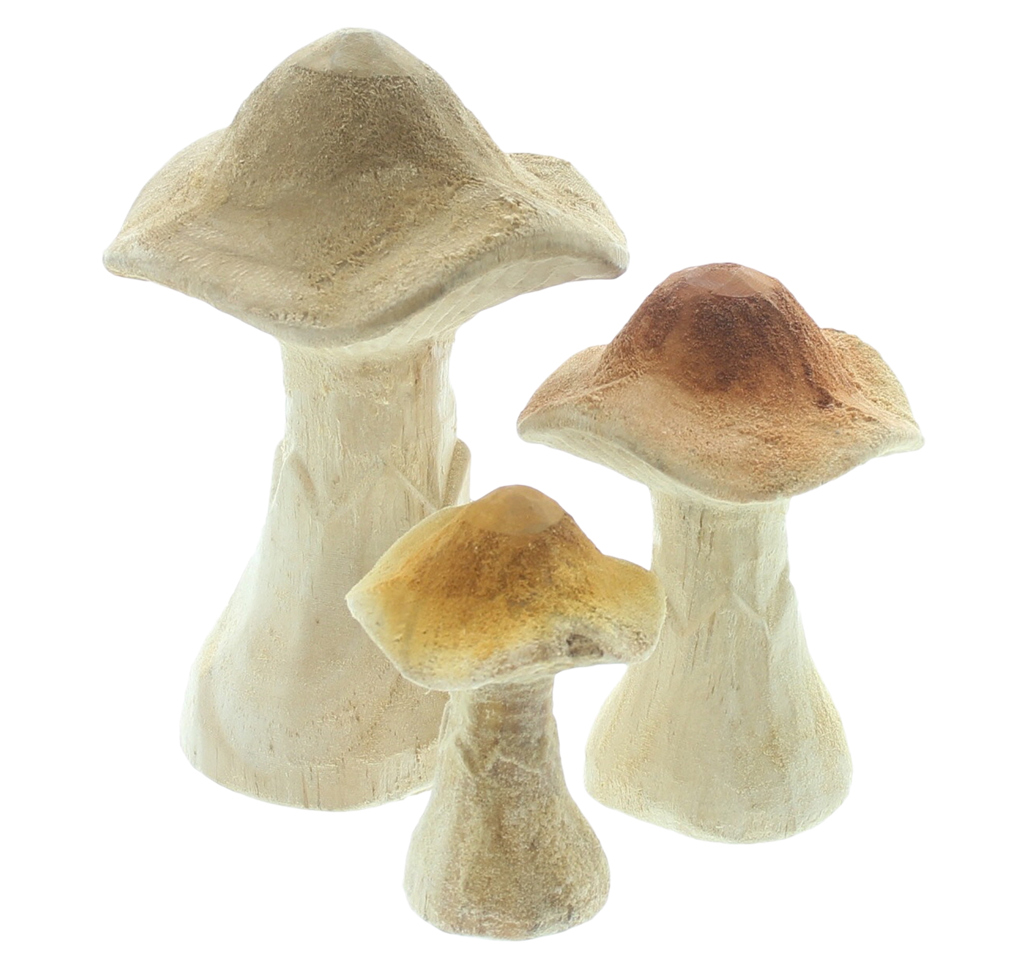 Pilz "Natural", 3er Set  im Frank Flechtwaren Online Shop für Titelserie Herbst/Winter kaufen