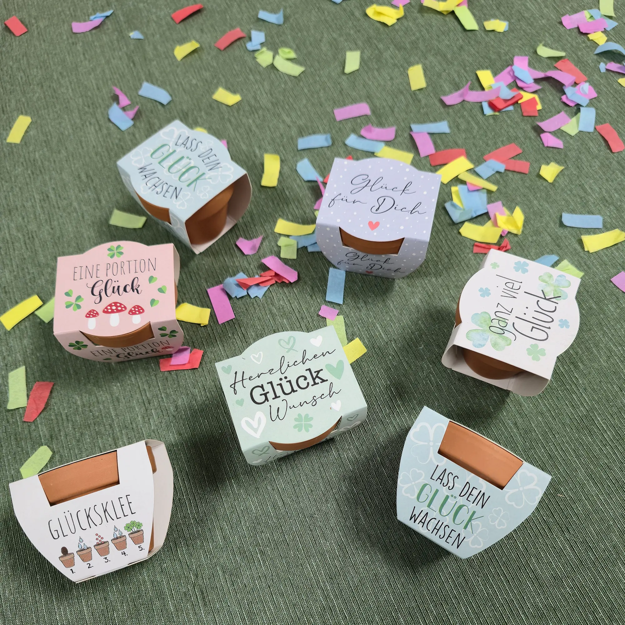 Minitopf "Glücksklee", 2er Set  im Frank Flechtwaren Online Shop kaufen