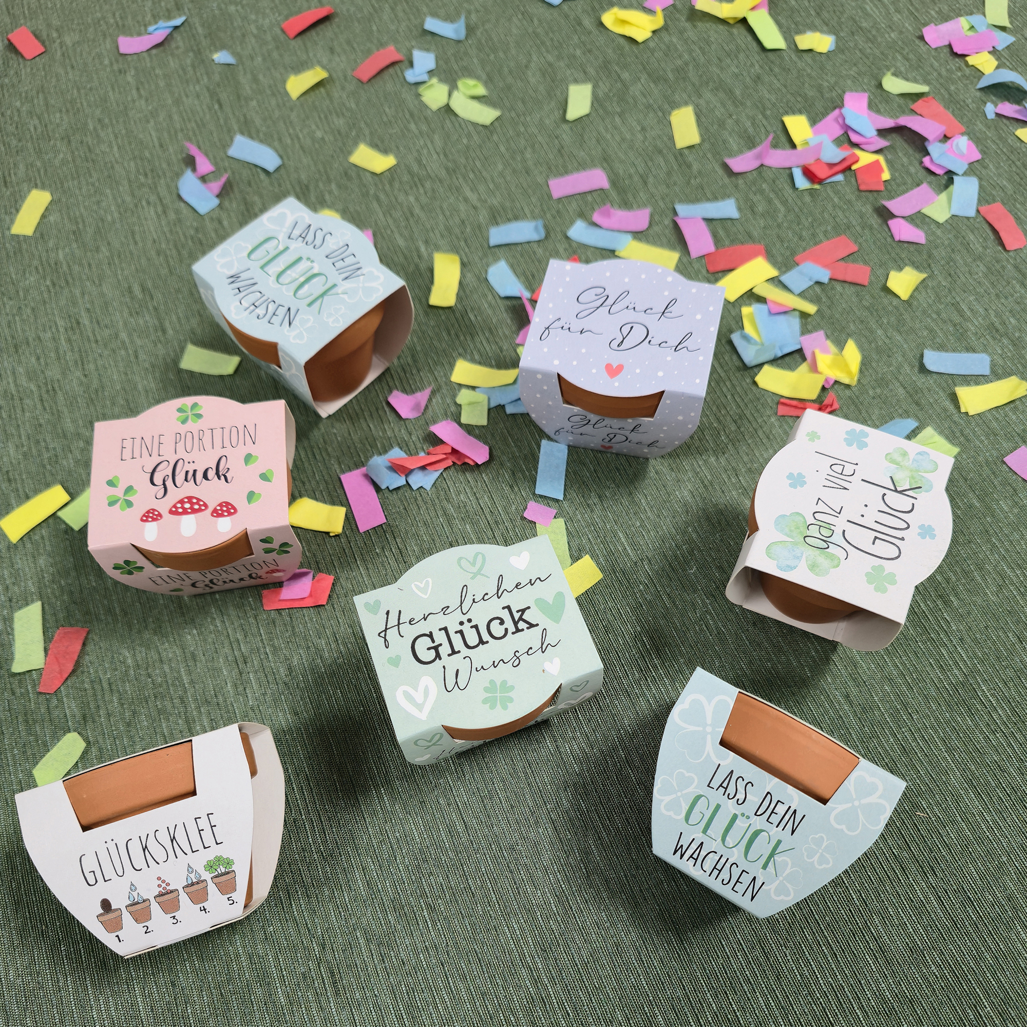 Minitopf "Glücksklee", 2er Set  im Frank Flechtwaren Online Shop kaufen