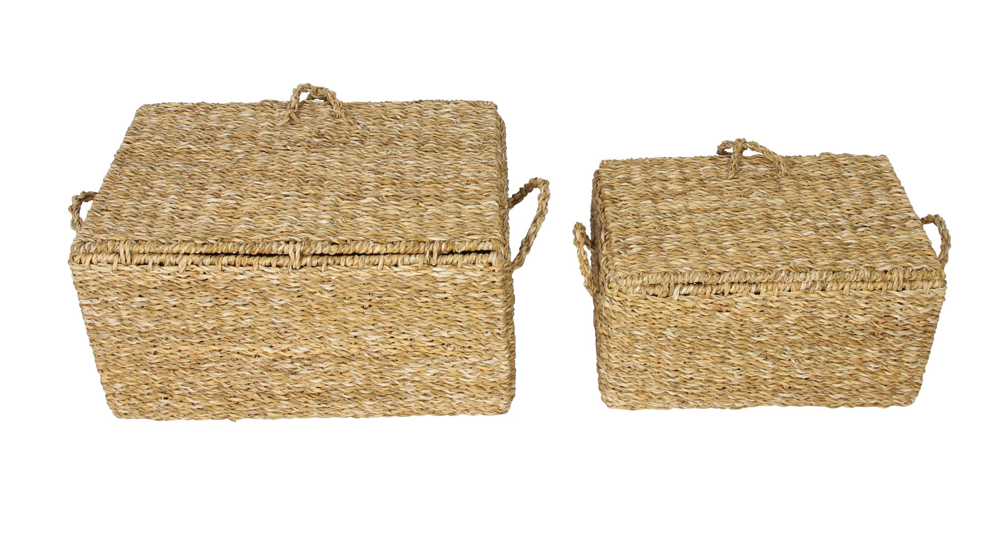Truhe "Seegras", 2er Set im Frank Flechtwaren Online Shop für Füllkörbe & Universalkörbe kaufen Truhe "Seegras", 2er Set im Frank Flechtwaren Online Shop für Füllkörbe & Universalkörbe kaufen