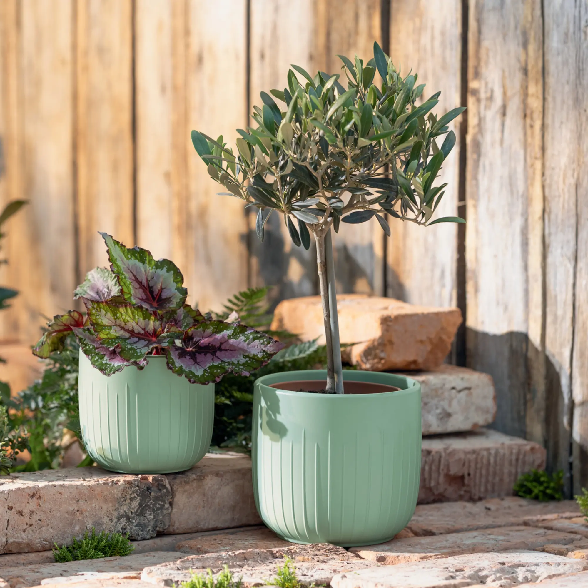 Blumentopf "Salbei", 2er Set  im Frank Flechtwaren Online Shop kaufen