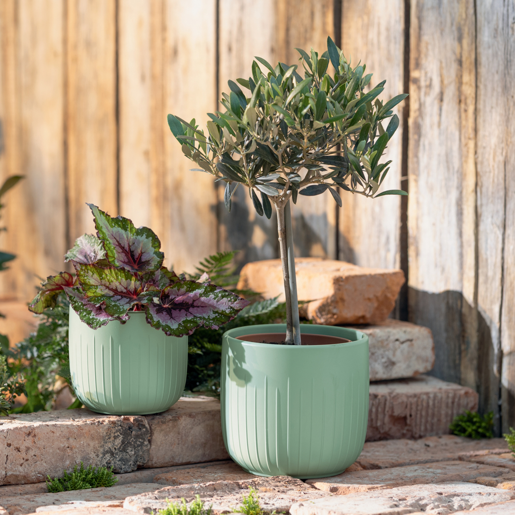 Blumentopf "Salbei", 2er Set  im Frank Flechtwaren Online Shop kaufen