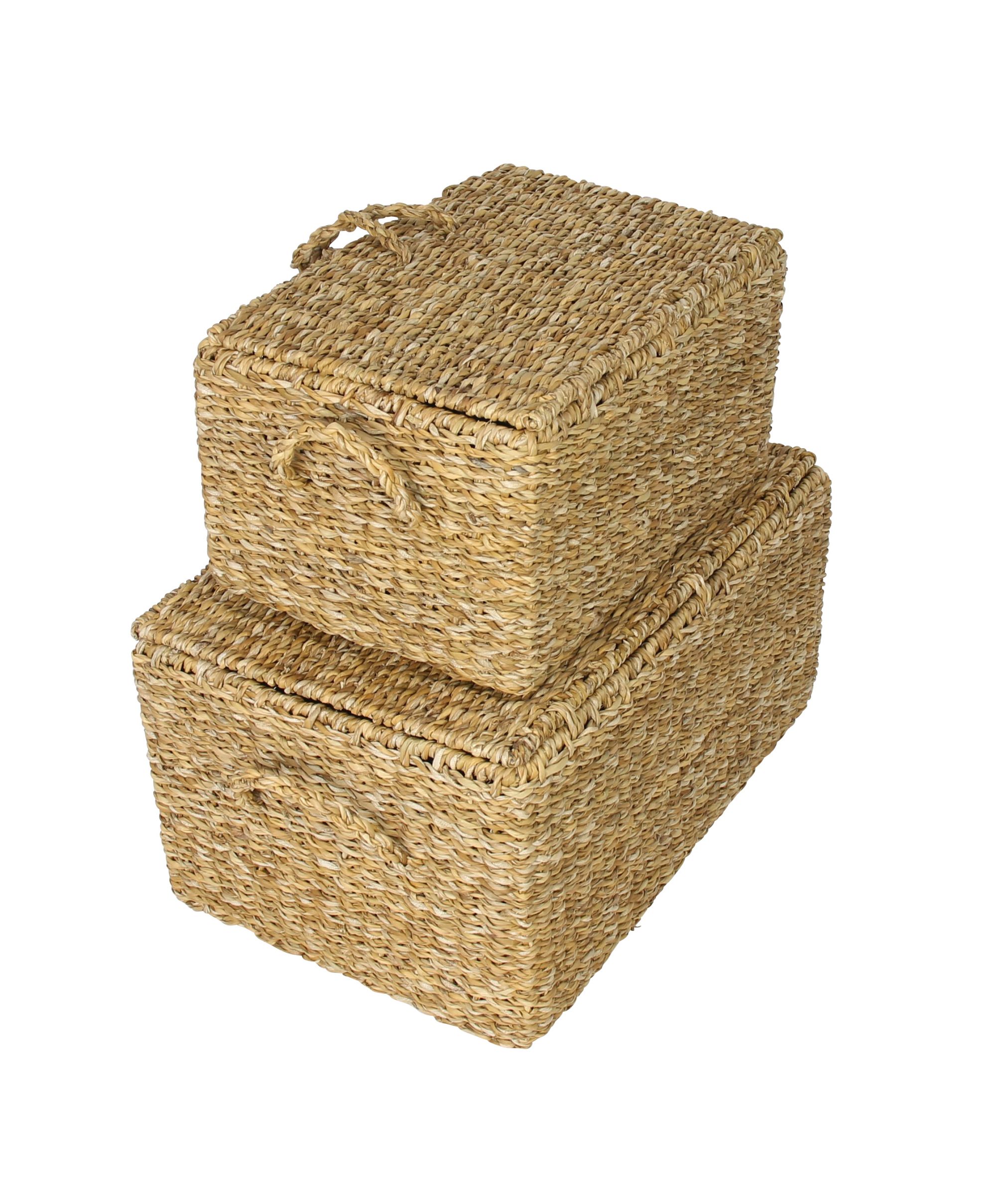 Truhe "Seegras", 2er Set im Frank Flechtwaren Online Shop für Füllkörbe & Universalkörbe kaufen Truhe "Seegras", 2er Set im Frank Flechtwaren Online Shop für Füllkörbe & Universalkörbe kaufen