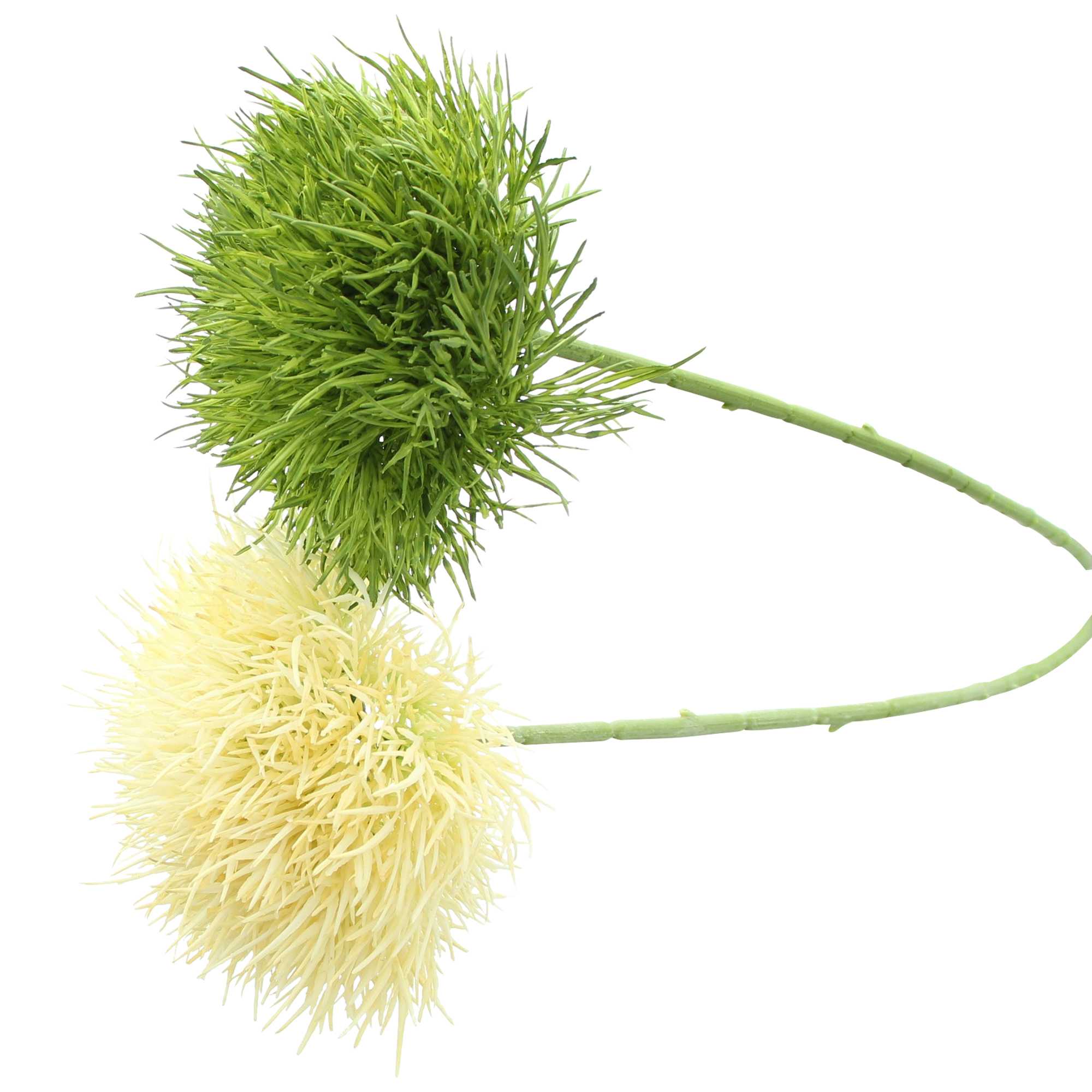 Pflanze "Kugelblume", 2er Set im Frank Flechtwaren Online Shop für Kunstpflanzen kaufen Pflanze "Kugelblume", 2er Set im Frank Flechtwaren Online Shop für Kunstpflanzen kaufen