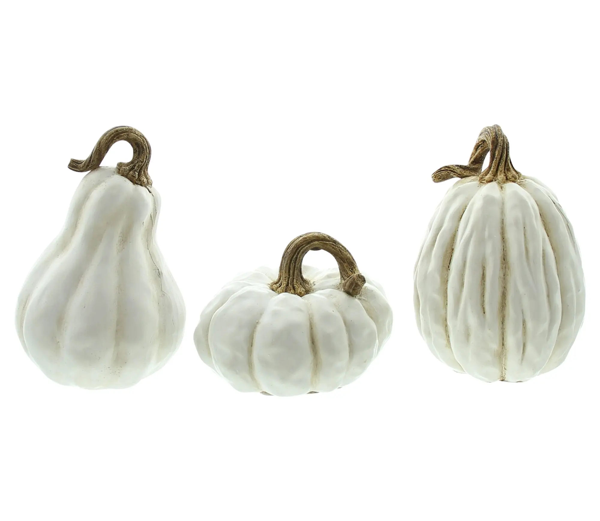 Kürbis "White", 3er Set im Frank Flechtwaren Online Shop für Dekokürbisse kaufen Kürbis "White", 3er Set im Frank Flechtwaren Online Shop für Dekokürbisse kaufen