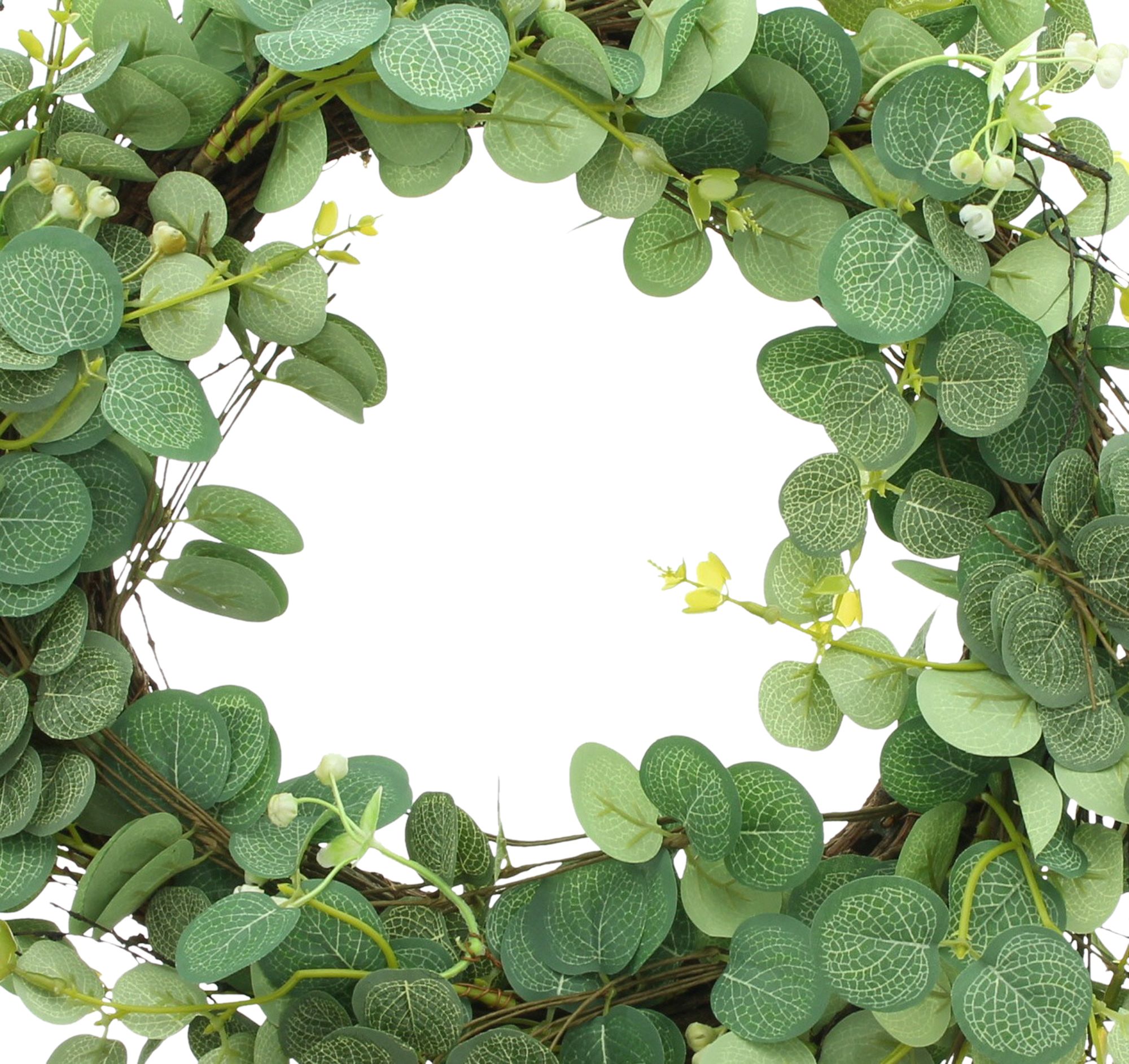 Kranz "Eukalyptus"  im Frank Flechtwaren Online Shop für Kränze kaufen