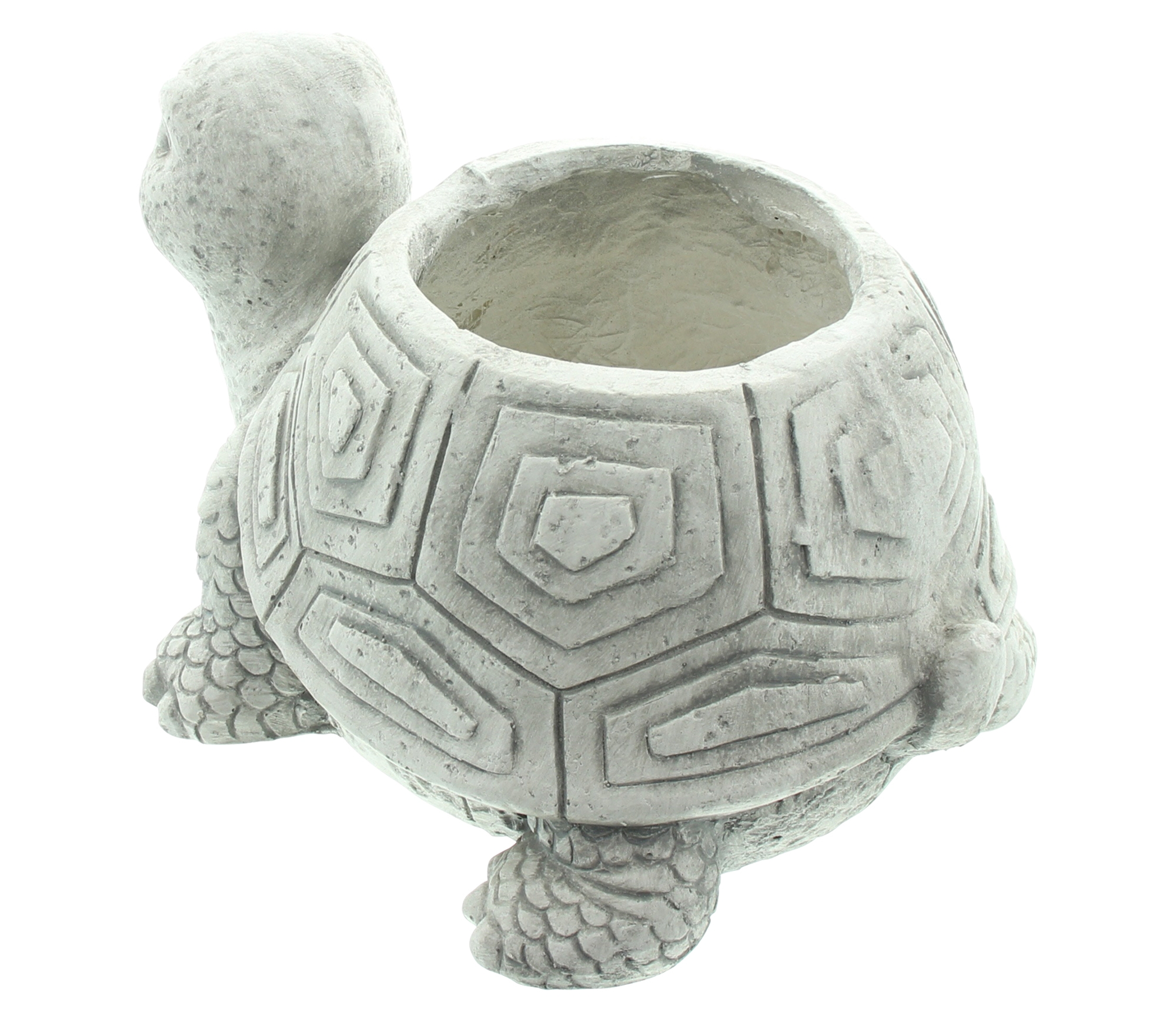 Pflanzer "Schildkröte"  im Frank Flechtwaren Online Shop für Pflanztöpfe kaufen
