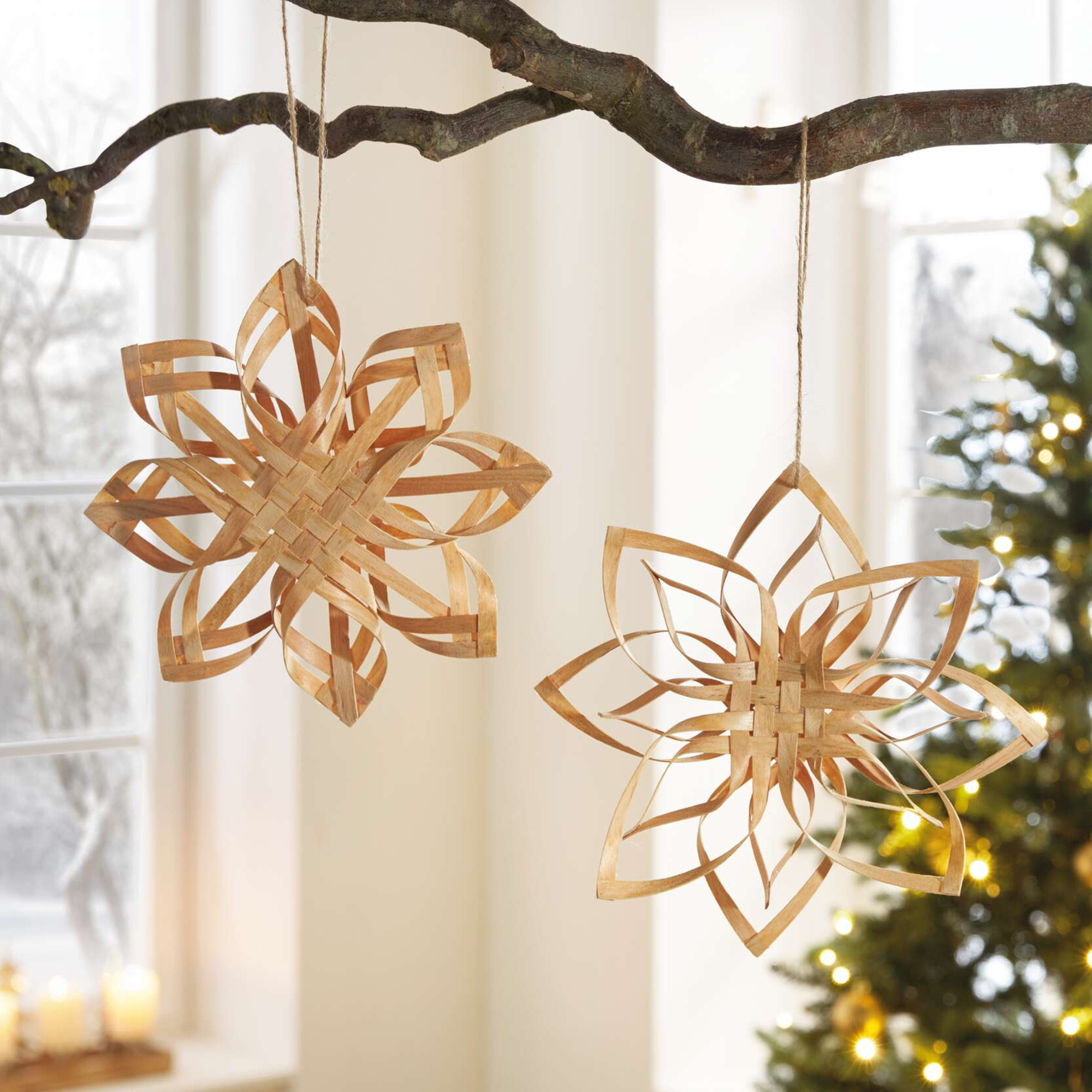 Weihnachtsstern "Holzspan", 2er Set  im Frank Flechtwaren Online Shop kaufen