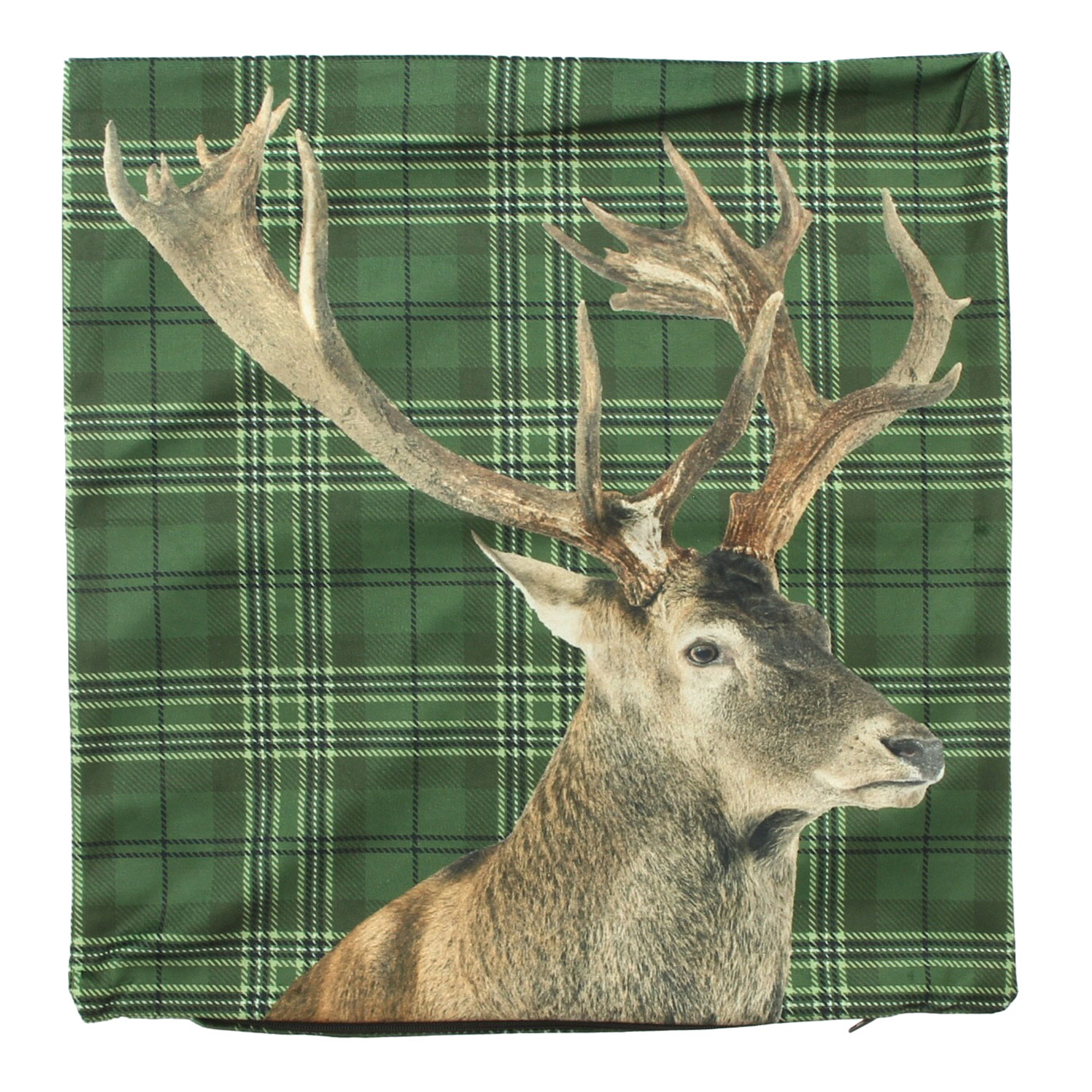 Kissenhülle "Cervo", grün  im Frank Flechtwaren Online Shop für Kissenhüllen kaufen