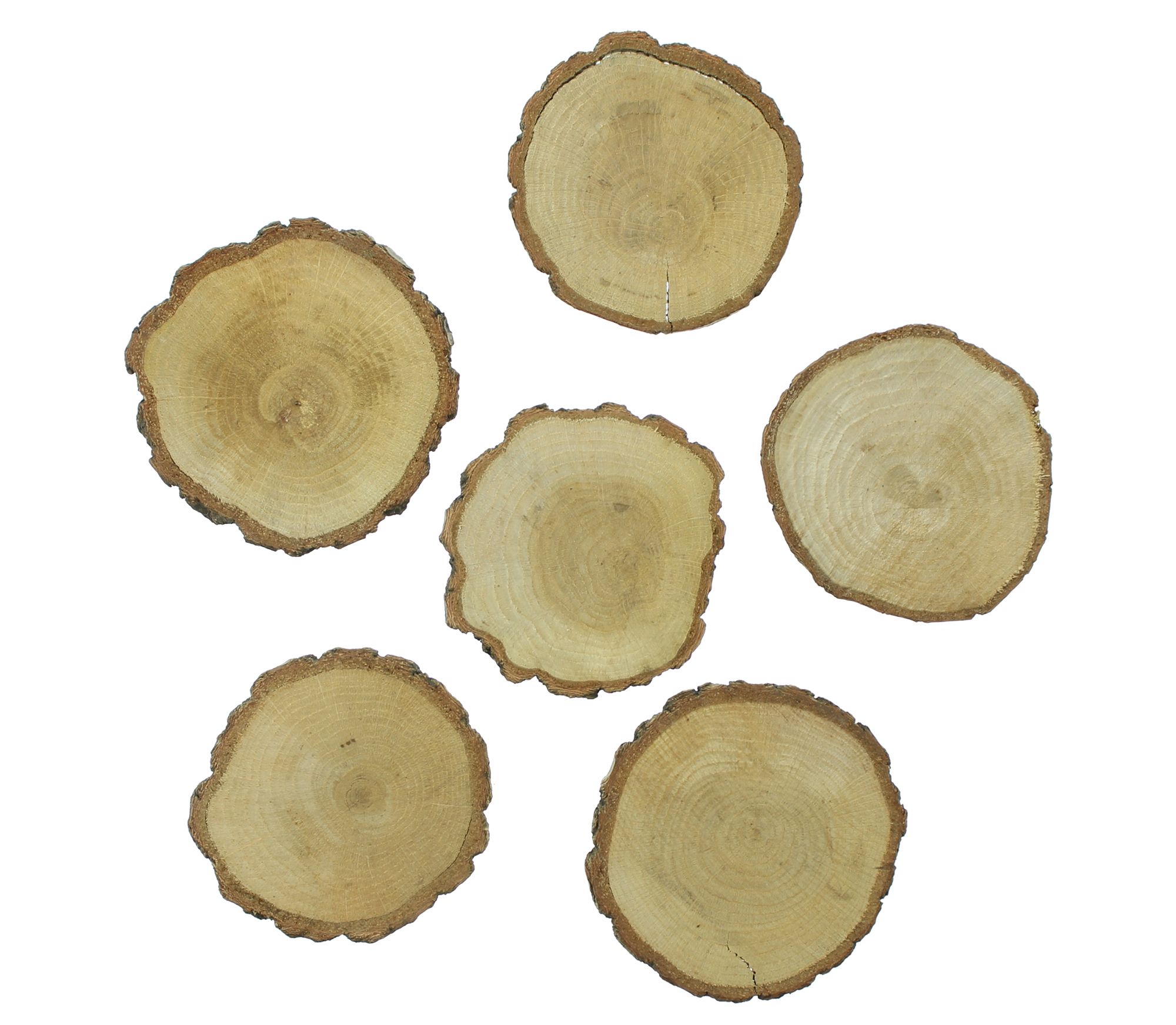 Acheter Lot de 6 rondins en bois "chêne" dans la boutique en ligne de Frank Flechtwaren pour Pâques Acheter Lot de 6 rondins en bois "chêne" dans la boutique en ligne de Frank Flechtwaren pour Pâques