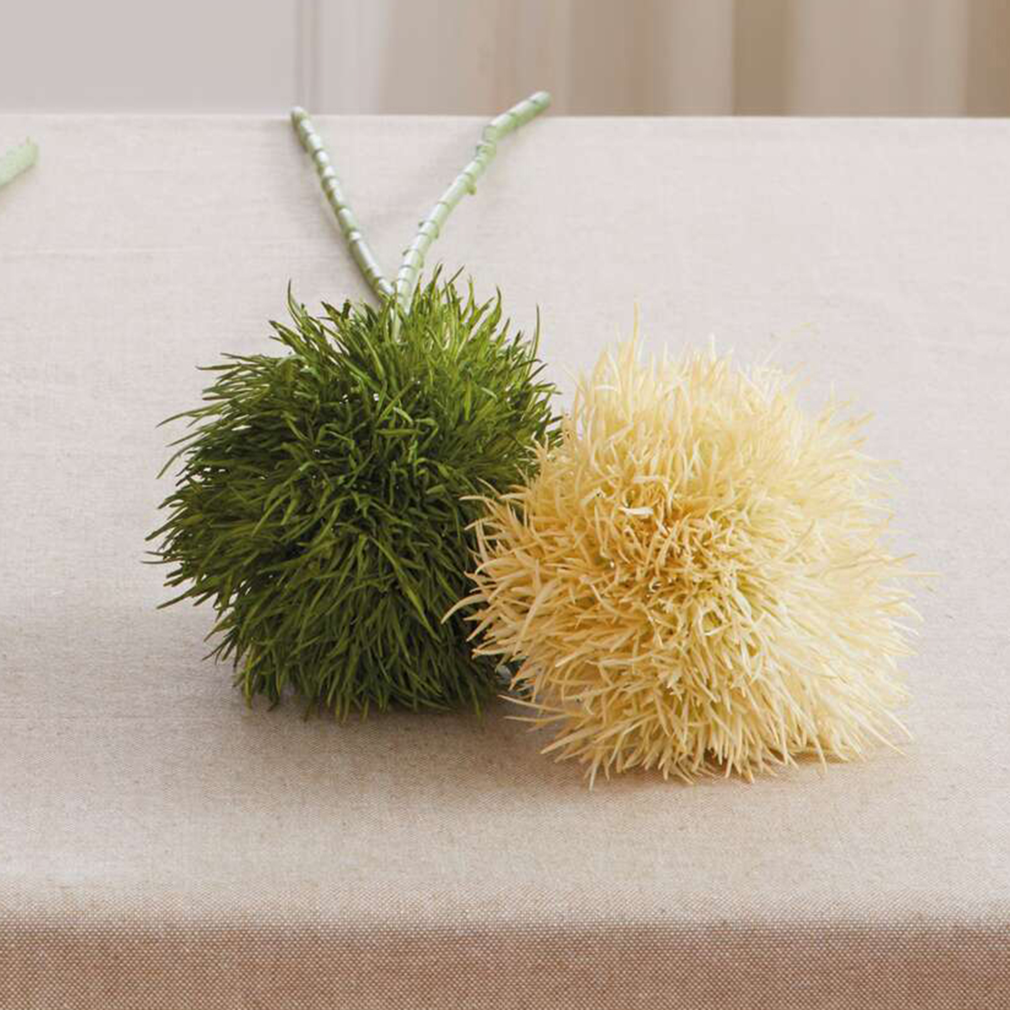 Pflanze "Kugelblume", 2er Set  im Frank Flechtwaren Online Shop kaufen