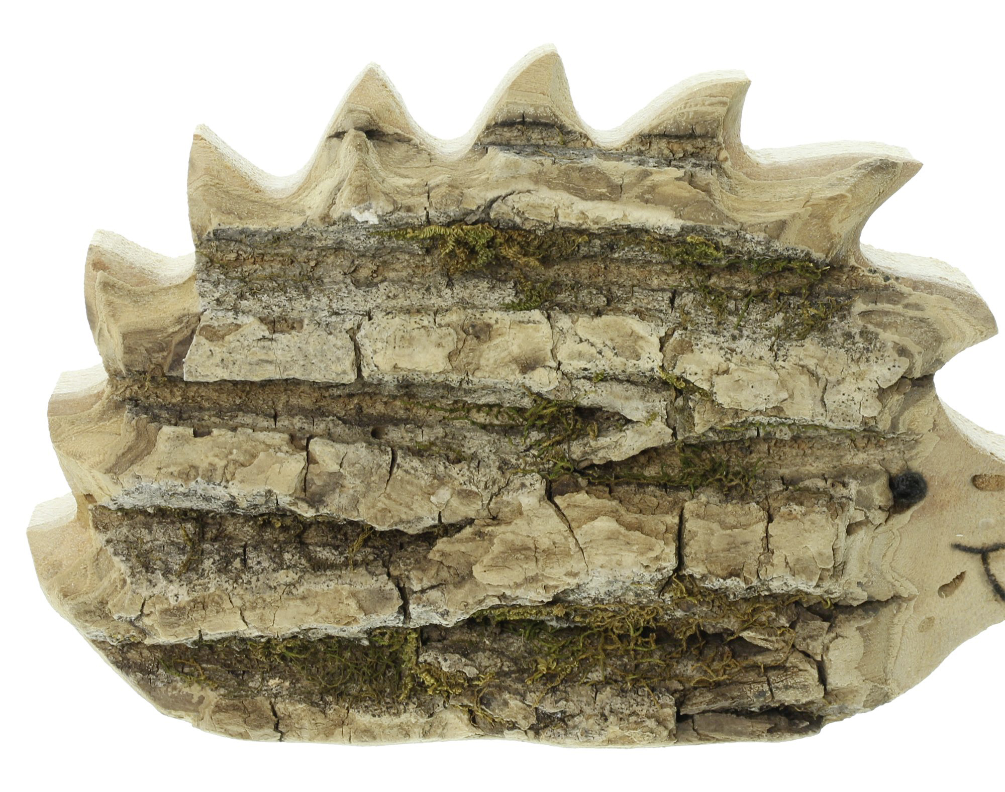 Holzdeko "Igel", 2er Set im Frank Flechtwaren Online Shop für Herbst kaufen Holzdeko "Igel", 2er Set im Frank Flechtwaren Online Shop für Herbst kaufen