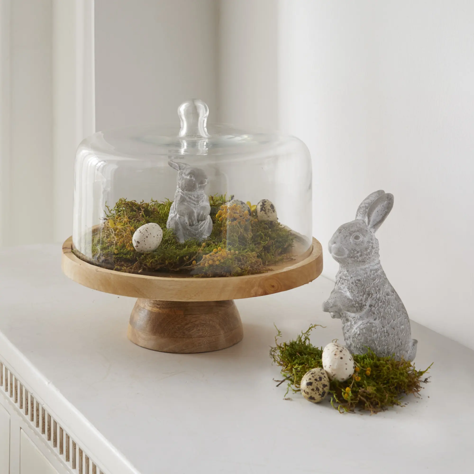 Servierplatte "Mangoholz" mit Glasglocke  im Frank Flechtwaren Online Shop für Festlich eingedeckt kaufen