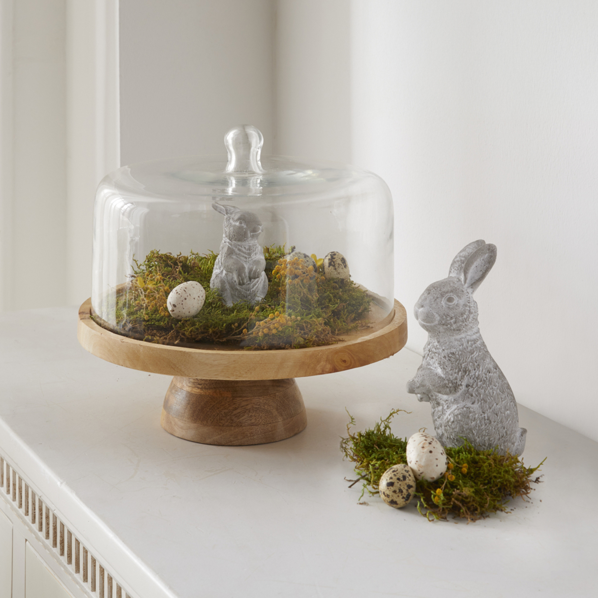 Servierplatte "Mangoholz" mit Glasglocke  im Frank Flechtwaren Online Shop kaufen