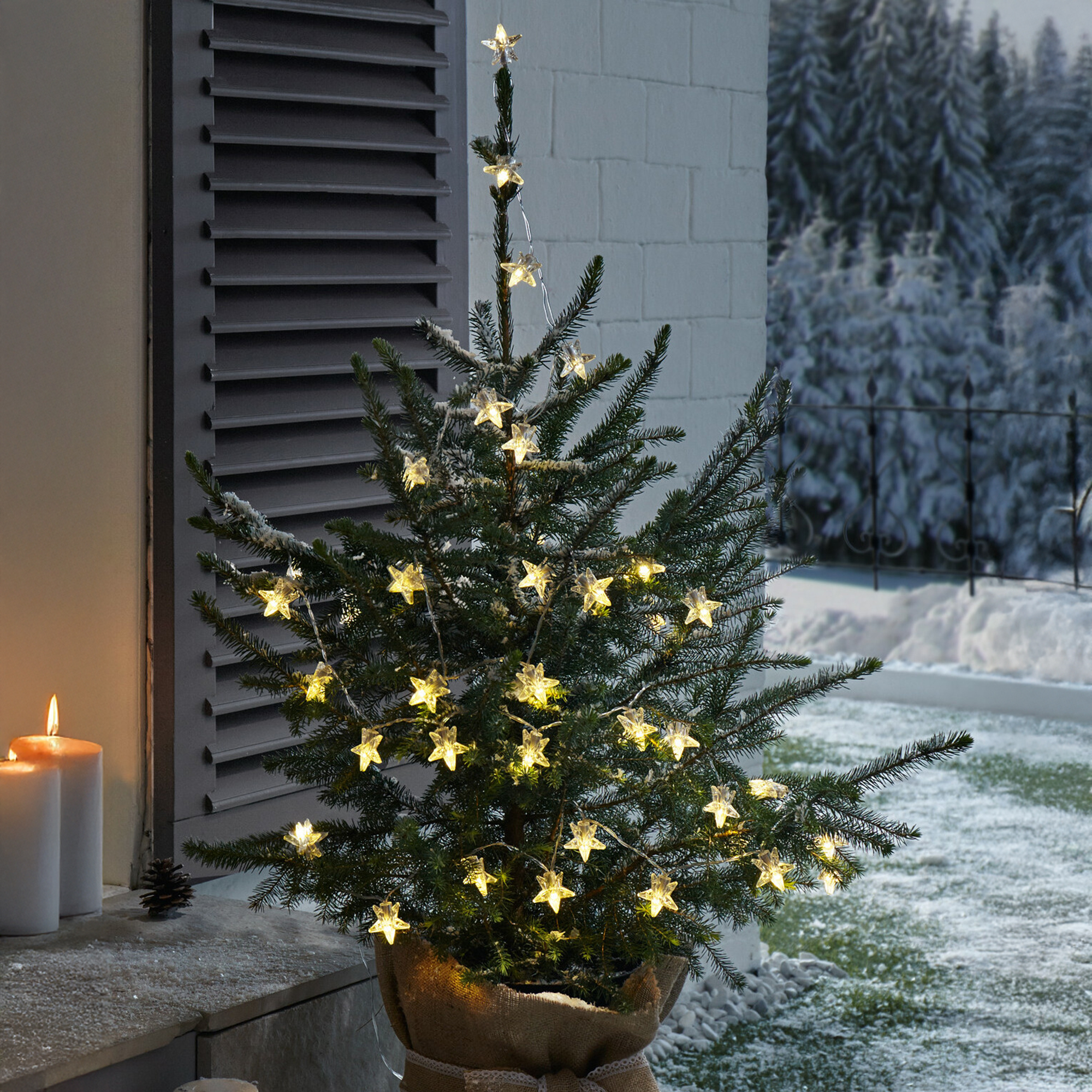 LED-Lichterkette "Sterne"  im Frank Flechtwaren Online Shop für Weihnachten kaufen