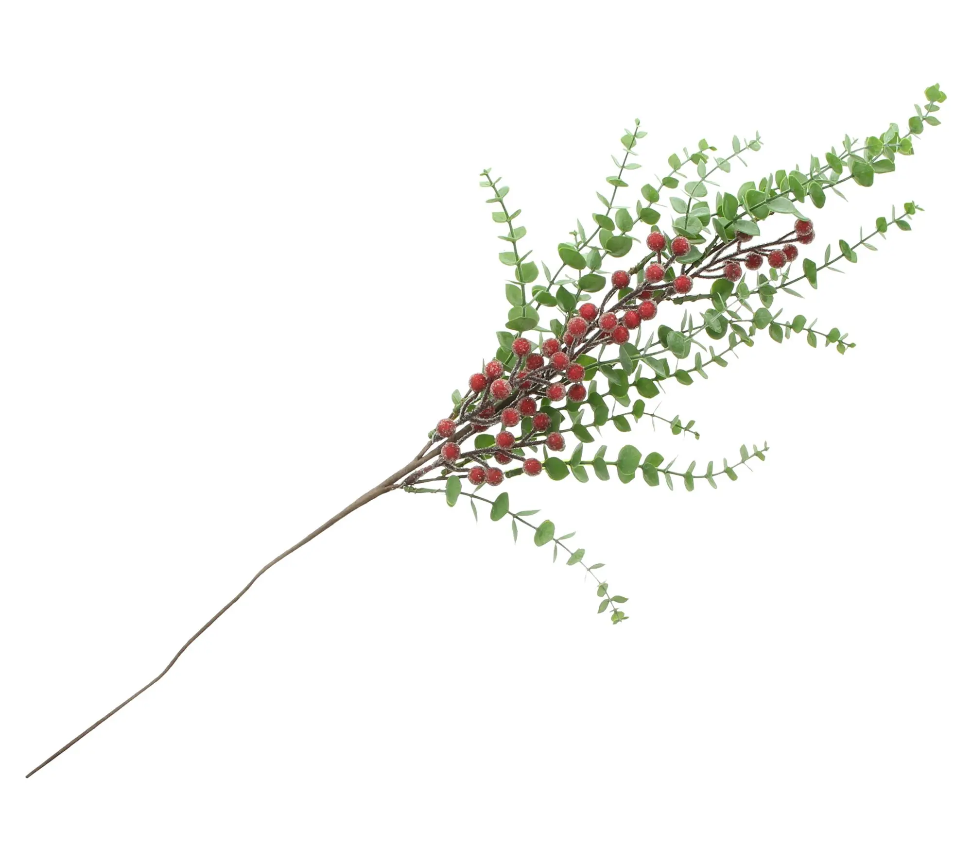 Zweig "Frostbeeren" im Frank Flechtwaren Online Shop für Gestecke kaufen Zweig "Frostbeeren" im Frank Flechtwaren Online Shop für Gestecke kaufen