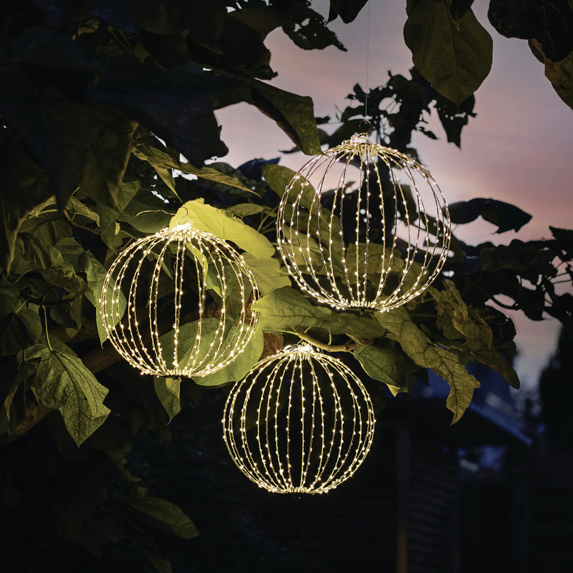 LED-Kugel "Shine", groß  im Frank Flechtwaren Online Shop für Gartenbeleuchtung kaufen