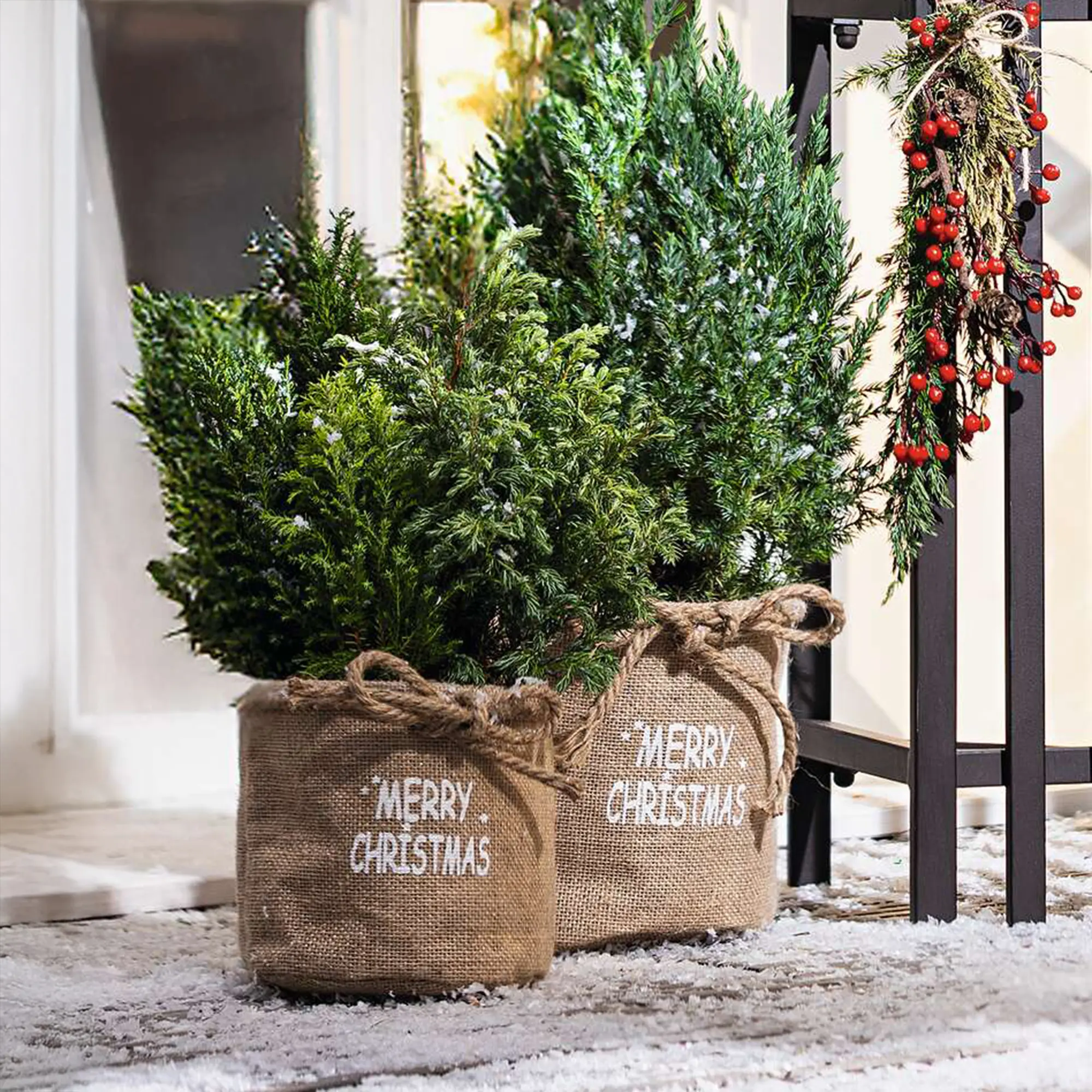 Pflanzkorb "Merry Christmas", 2er Set  im Frank Flechtwaren Online Shop kaufen