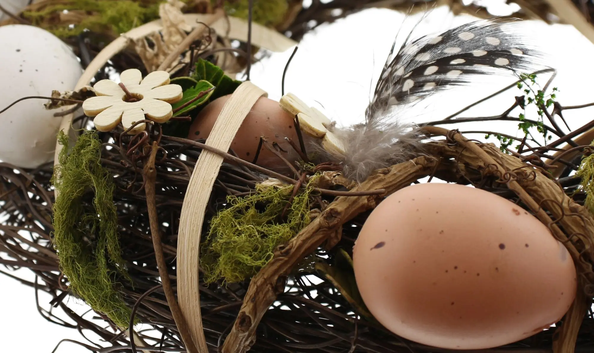 Kranz "Ostern" im Frank Flechtwaren Online Shop für Ostern kaufen Kranz "Ostern" im Frank Flechtwaren Online Shop für Ostern kaufen