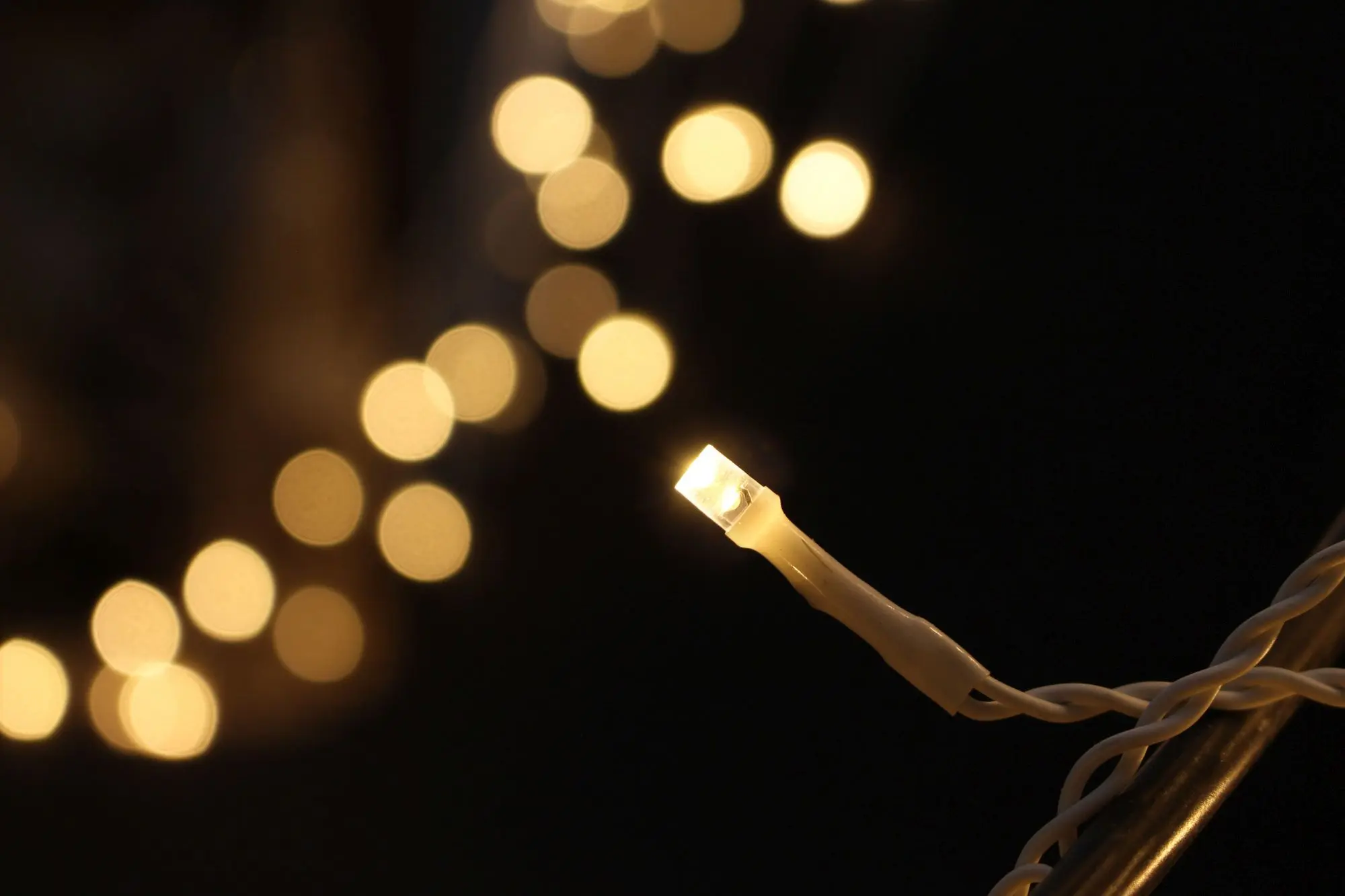 LED-Lichtervorhang "White" im Frank Flechtwaren Online Shop für Gartenbeleuchtung kaufen LED-Lichtervorhang "White" im Frank Flechtwaren Online Shop für Gartenbeleuchtung kaufen