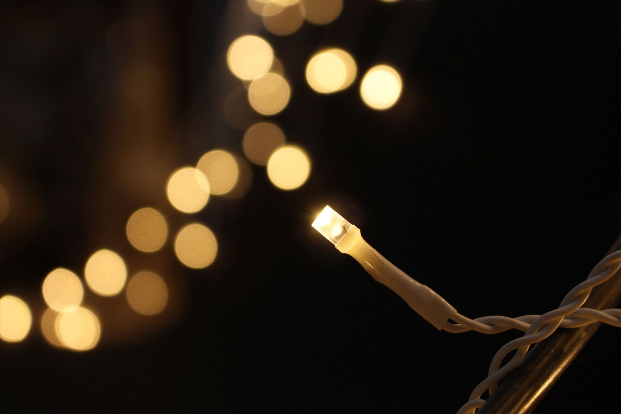 LED-Lichtervorhang "White"  im Frank Flechtwaren Online Shop für Weihnachten kaufen